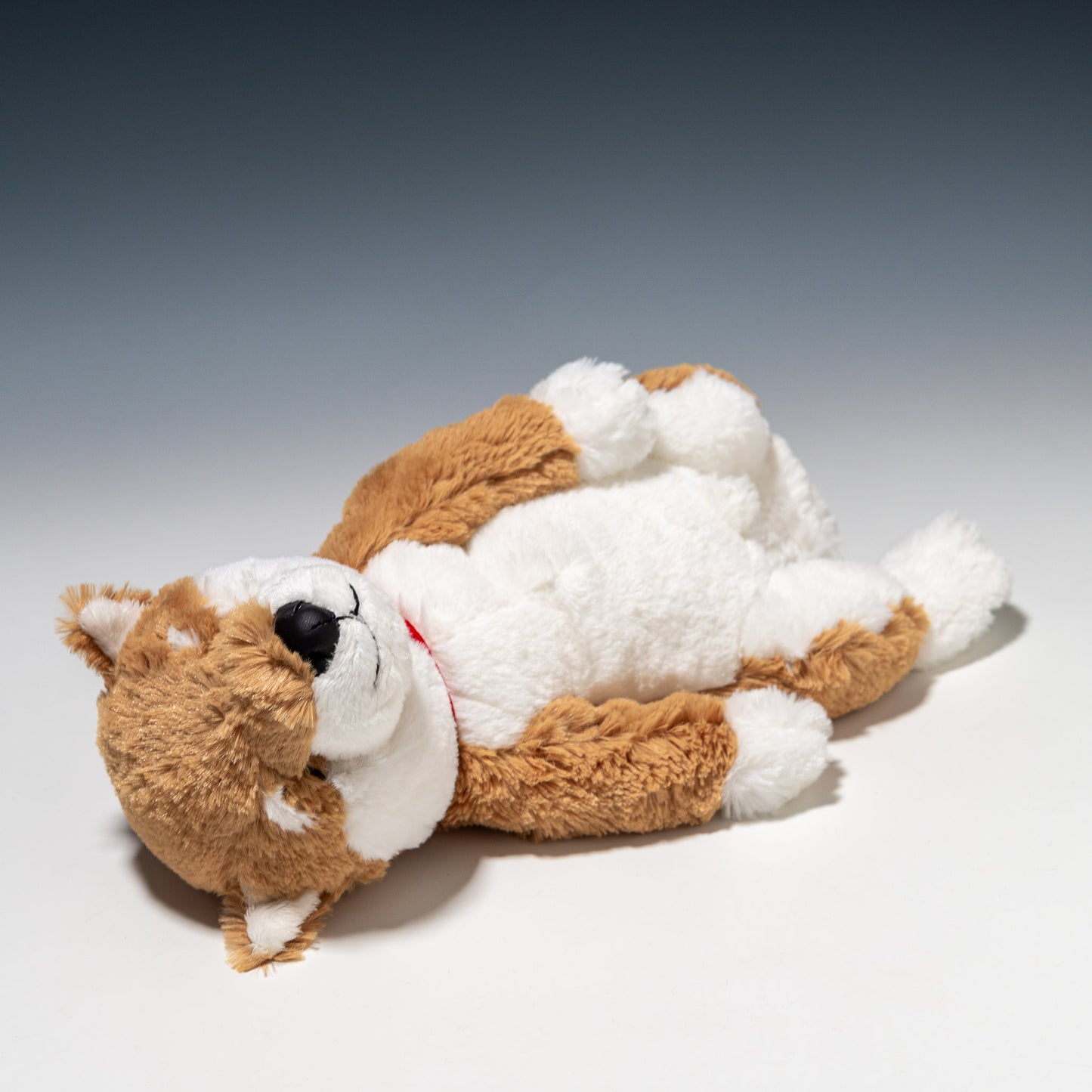 シナダ SHINADA ぬいぐるみ うちのハル君です 柴犬 UCHS-0298 寝転んだところ