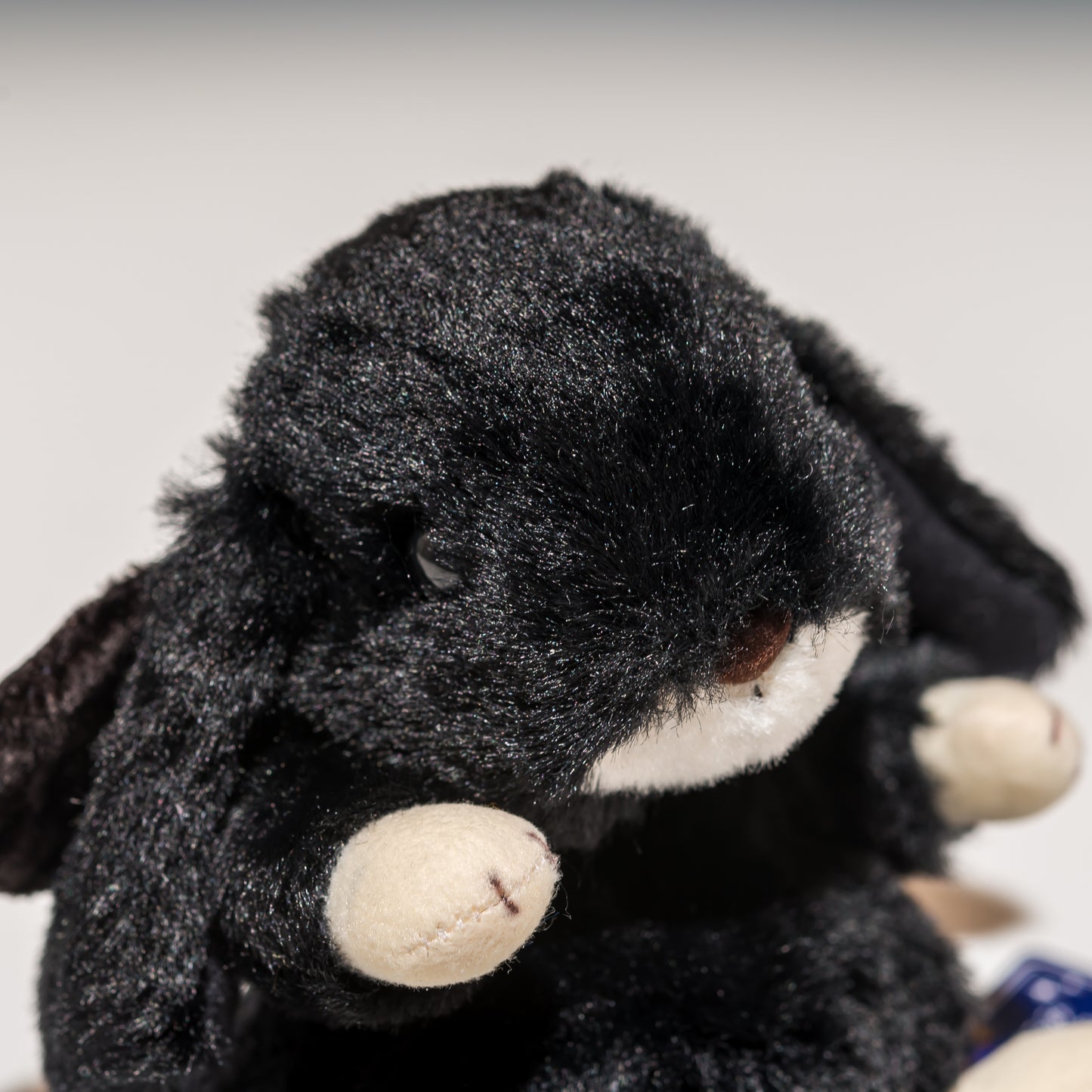 スターチャイルド STAR CHILD ぬいぐるみ ロップイヤー デビル 1145 右横顔