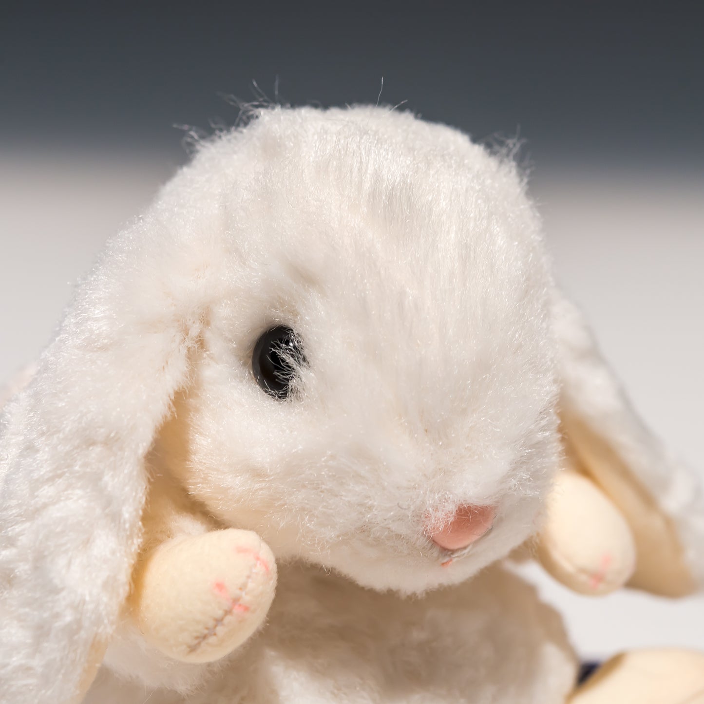 スターチャイルド STAR CHILD ぬいぐるみ ロップイヤー エンジェル ホワイト 1718 右横顔