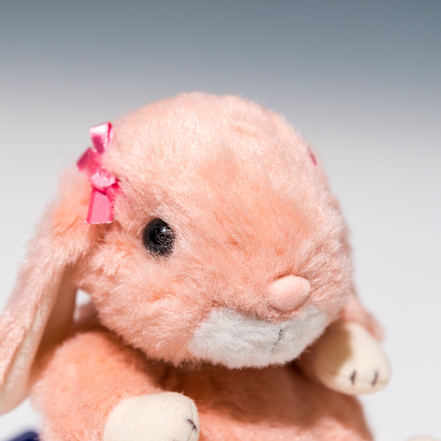 スターチャイルド STAR CHILD ぬいぐるみ ロップイヤー リボン ピンク 1641 右横顔