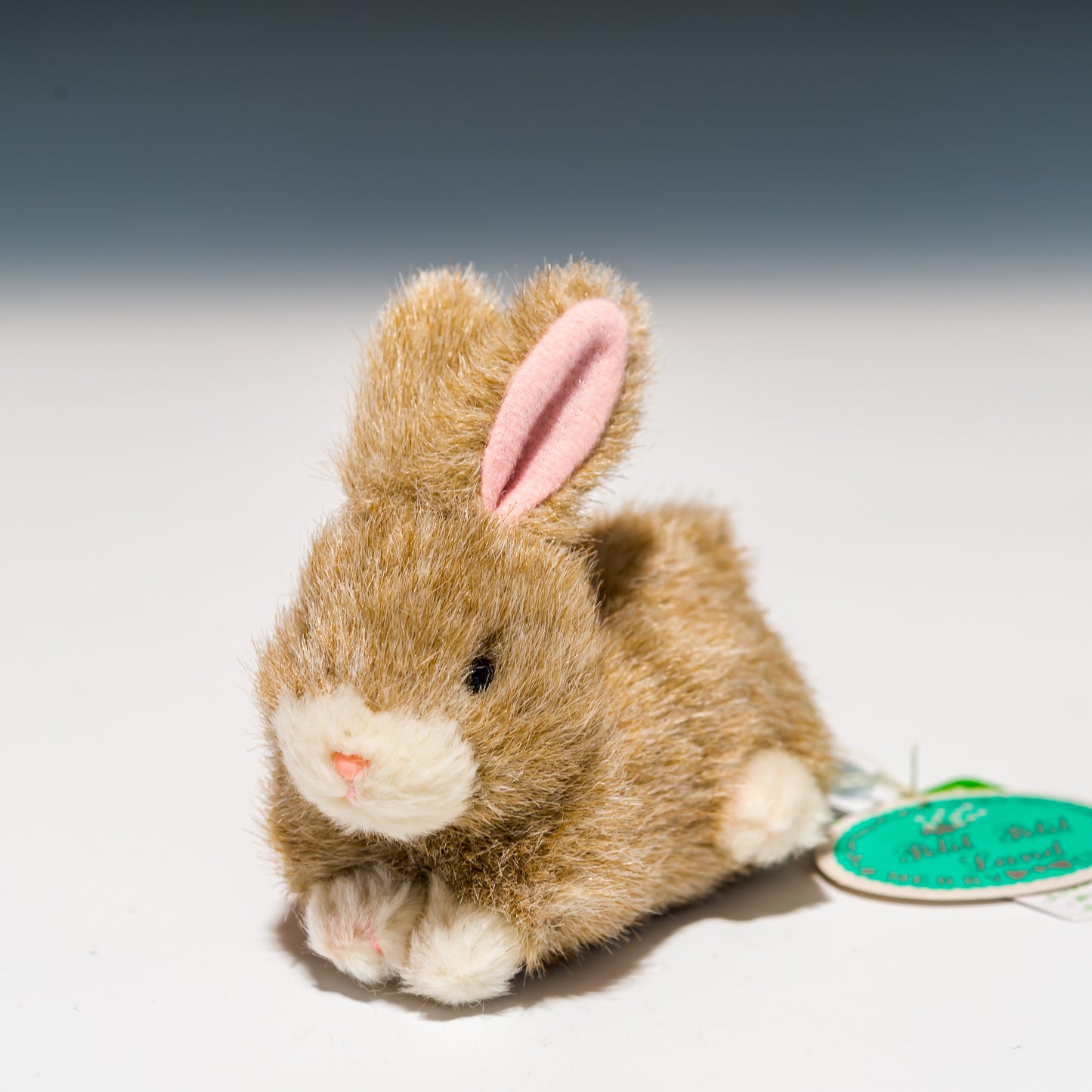 たけのこ TAKENOKO ぬいぐるみ プチプチらんど (A) ウサギ 茶 58433 正面