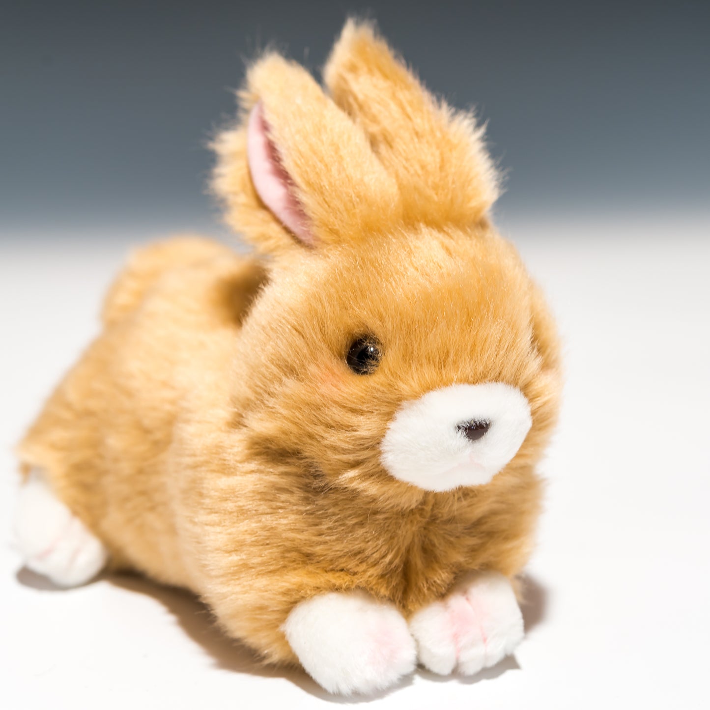 たけのこ TAKENOKO ぬいぐるみ プチどりーむ ミニ (A) ウサギ 茶 95011 右横顔