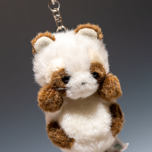 たけのこ TAKENOKO ぬいぐるみ プチプチどりーむ アライグマ 白 68321 右横顔