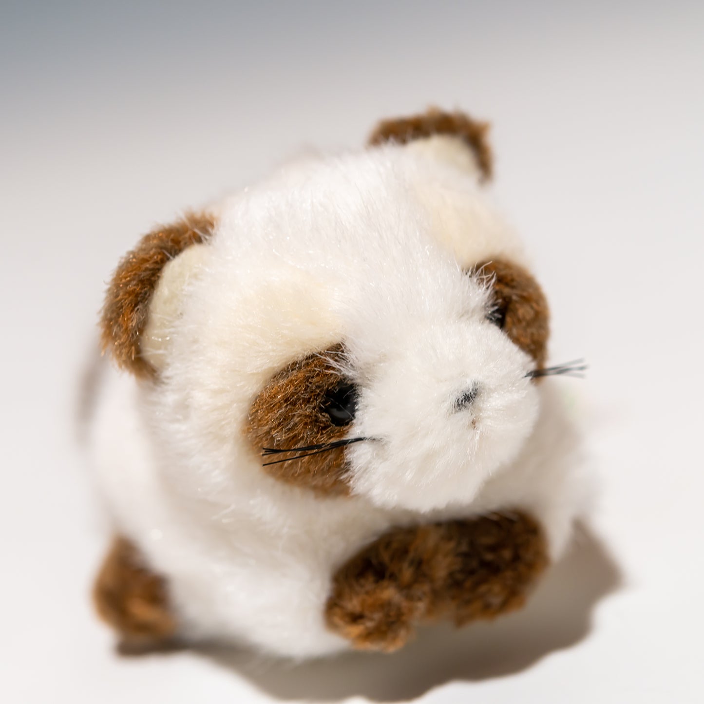 たけのこ TAKENOKO ぬいぐるみ プチプチらんど (A) アライグマ 白 58434 右横顔