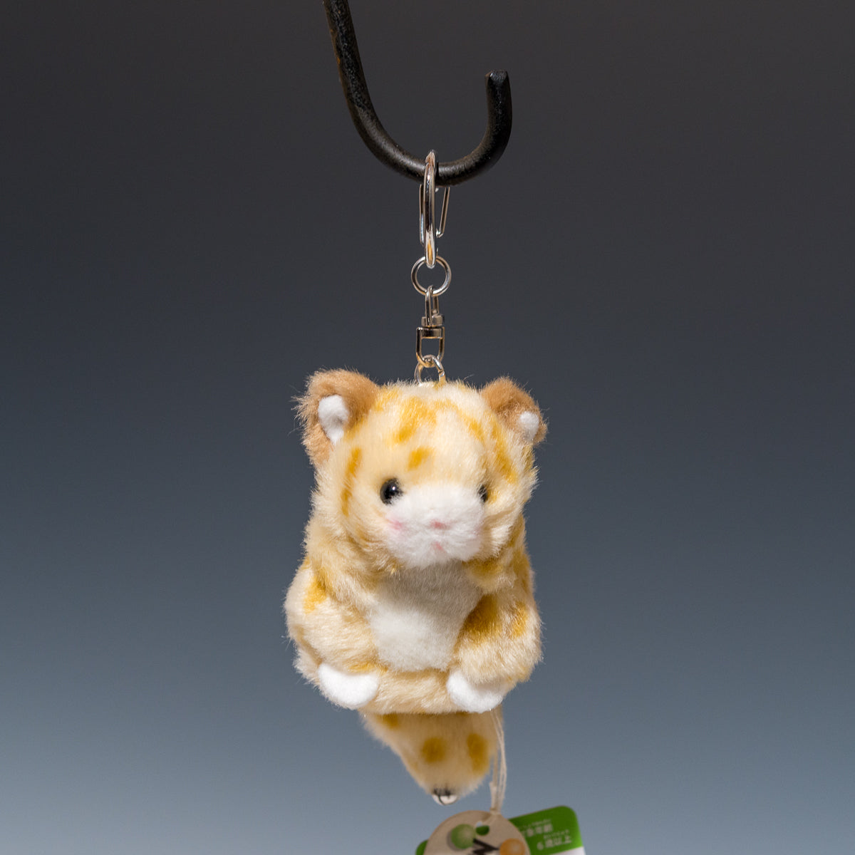 たけのこ TAKENOKO ぬいぐるみ ミニミニキッズ ネコ ベージュの正面