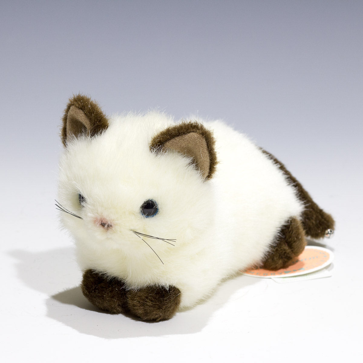 たけのこ TAKENOKO ぬいぐるみ プチどりーむ ミニ (A) シャムネコ 95029 正面