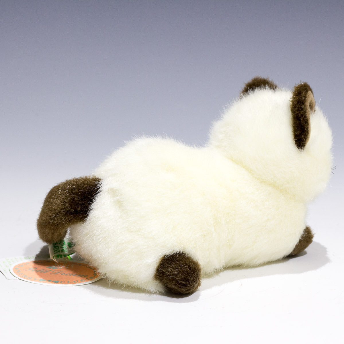 たけのこ TAKENOKO ぬいぐるみ プチどりーむ ミニ (A) シャムネコ 95029 右横