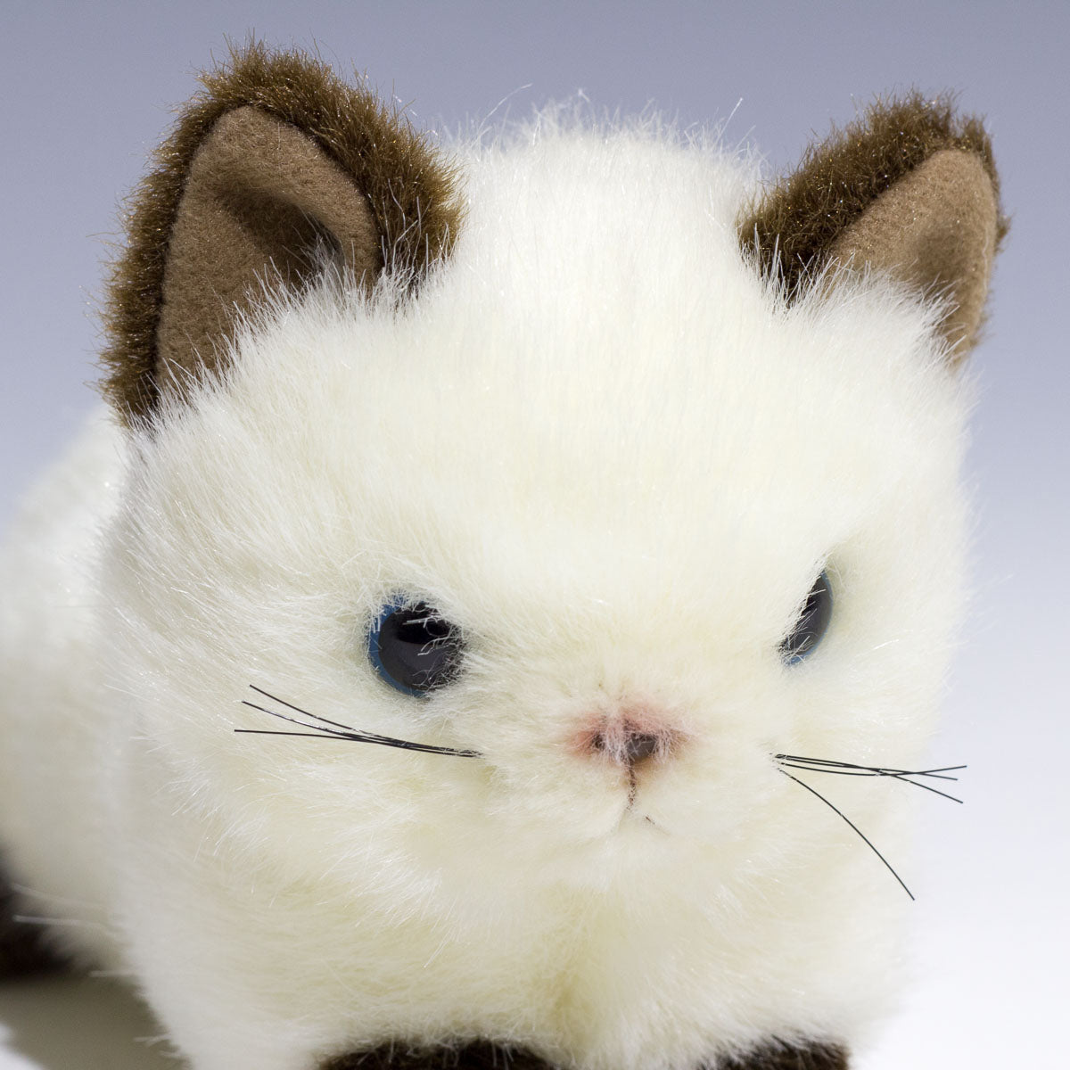 たけのこ TAKENOKO ぬいぐるみ プチどりーむ ミニ (A) シャムネコ 95029 アップ