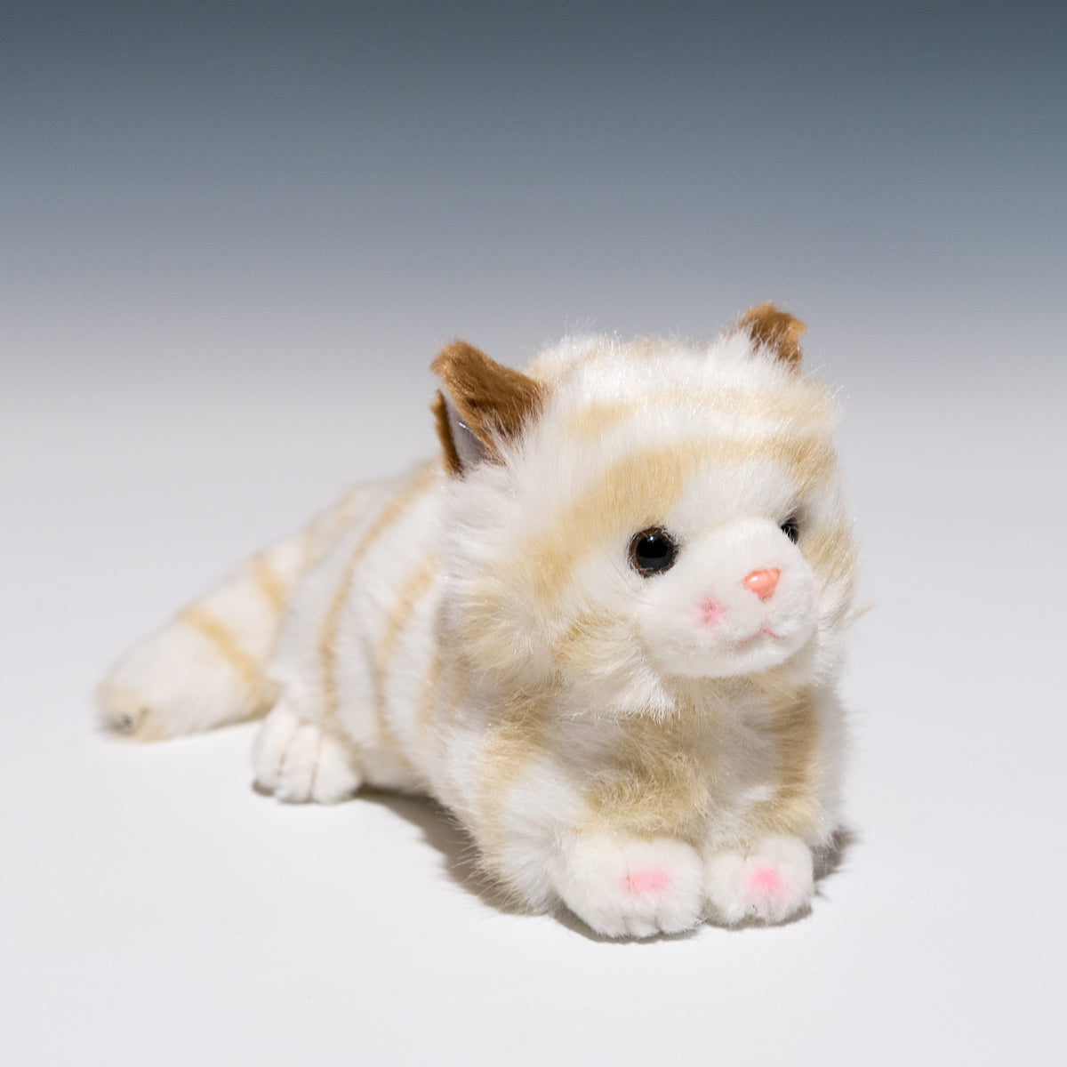 たけのこ TAKENOKO ぬいぐるみ プチどりーむ ミニ (A) ネコ ベージュ 95007 正面