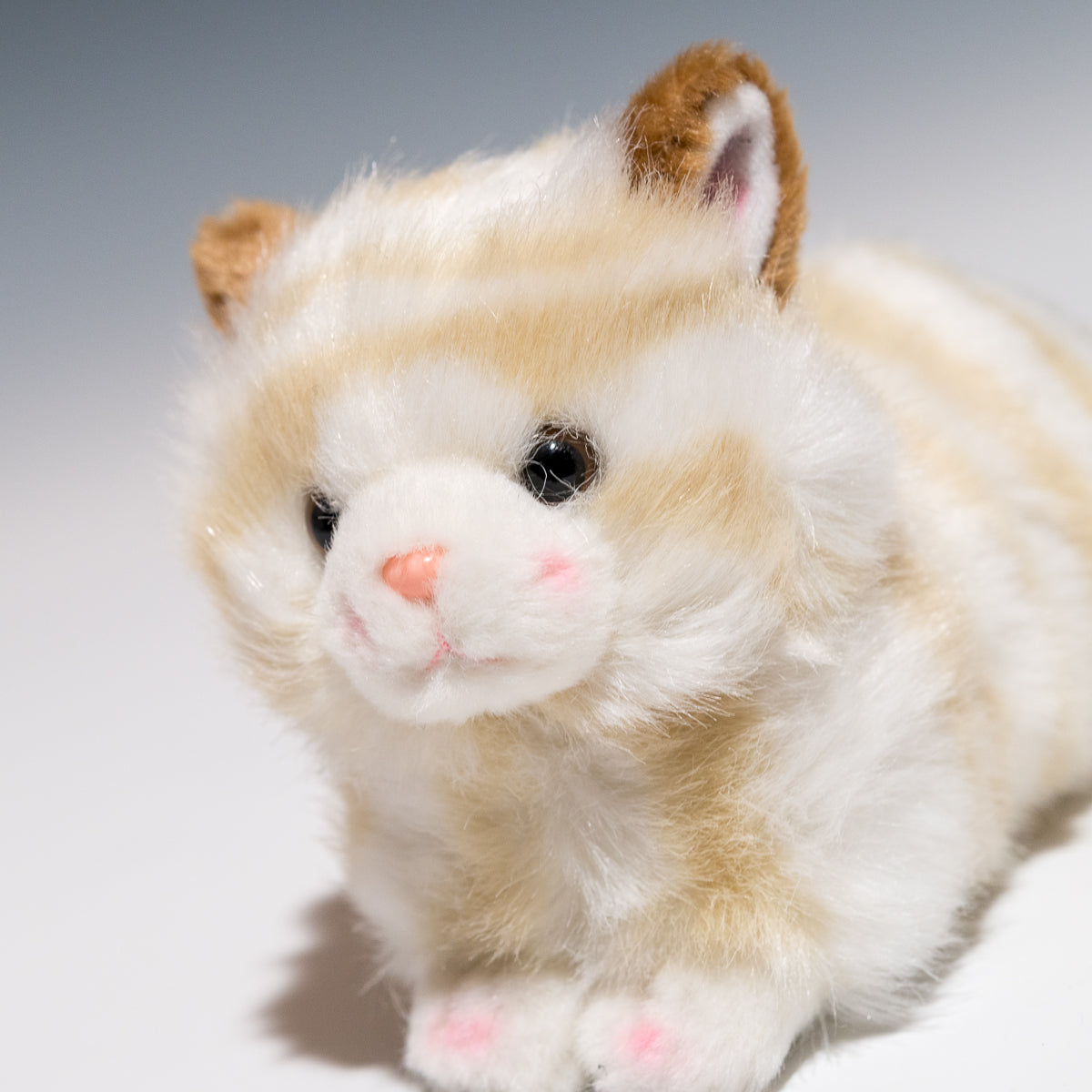 たけのこ TAKENOKO ぬいぐるみ プチどりーむ ミニ (A) ネコ ベージュ 95007 左横顔