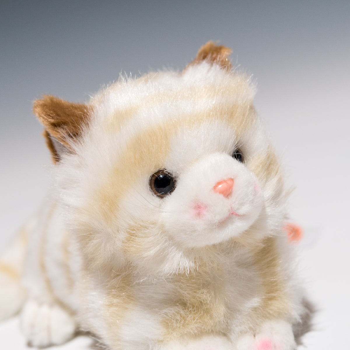 たけのこ TAKENOKO ぬいぐるみ プチどりーむ ミニ (A) ネコ ベージュ 95007 右横顔