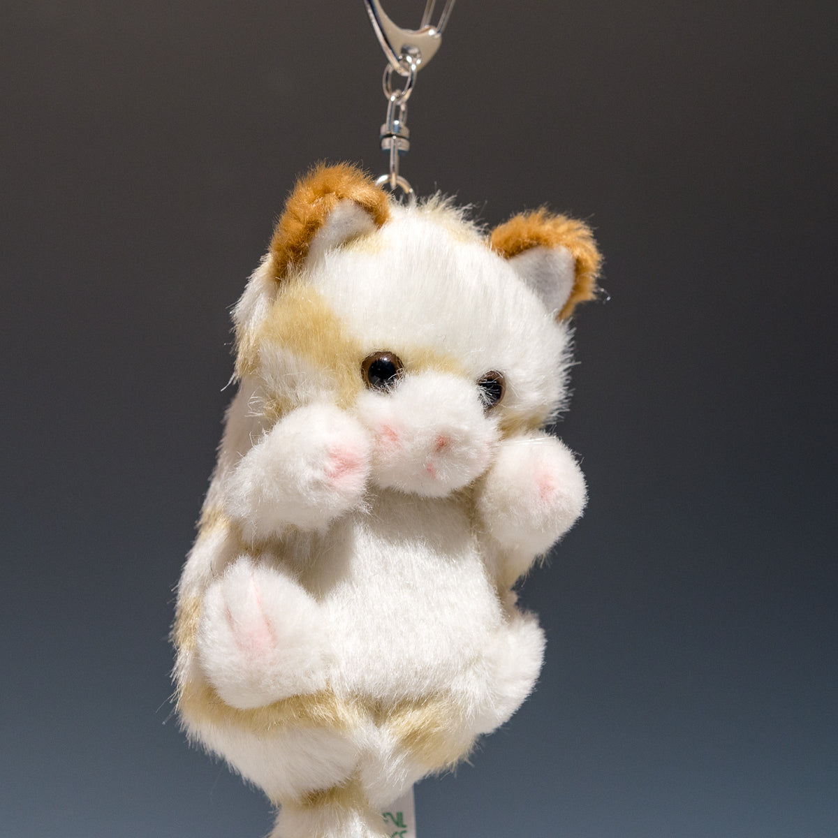 たけのこ TAKENOKO ぬいぐるみ プチプチどりーむ ネコ ベージュの右横顔