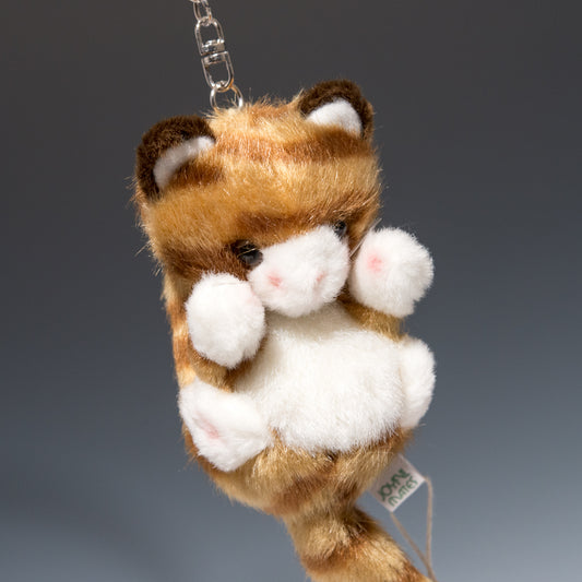 たけのこ TAKENOKO ぬいぐるみ プチプチどりーむ ネコ 茶 68317 正面2