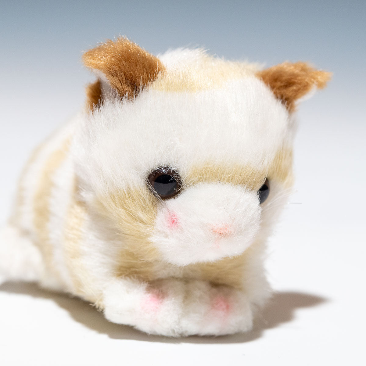 たけのこ TAKENOKO ぬいぐるみ プチプチらんど (A) ネコ ベージュ 58429 右横顔