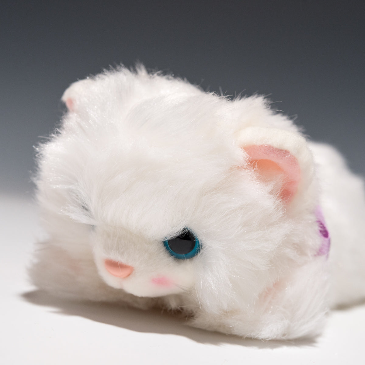 たけのこ TAKENOKO ぬいぐるみ リボンネコ ペルシャ猫の左横顔