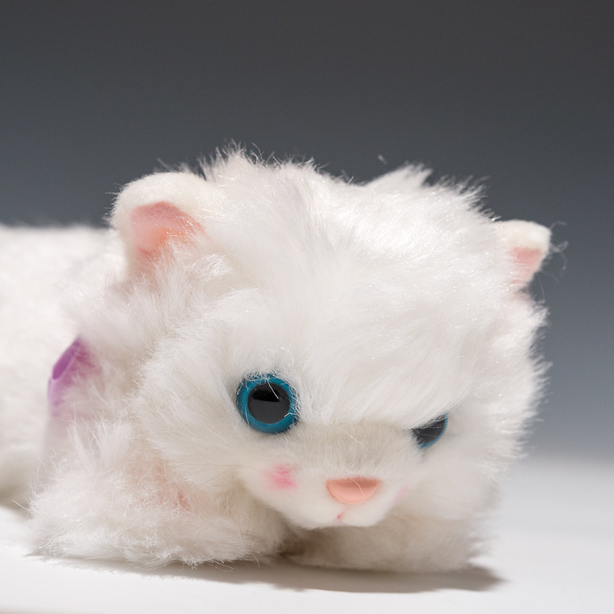 たけのこ TAKENOKO ぬいぐるみ リボンネコ ペルシャネコ 15784 右横顔