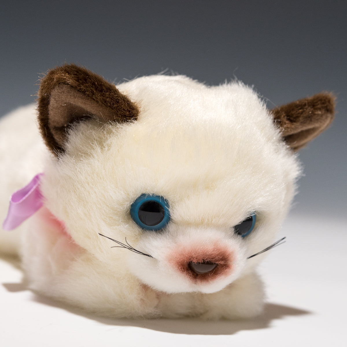 たけのこ TAKENOKO ぬいぐるみ リボンネコ シャムネコ 15783 右横顔