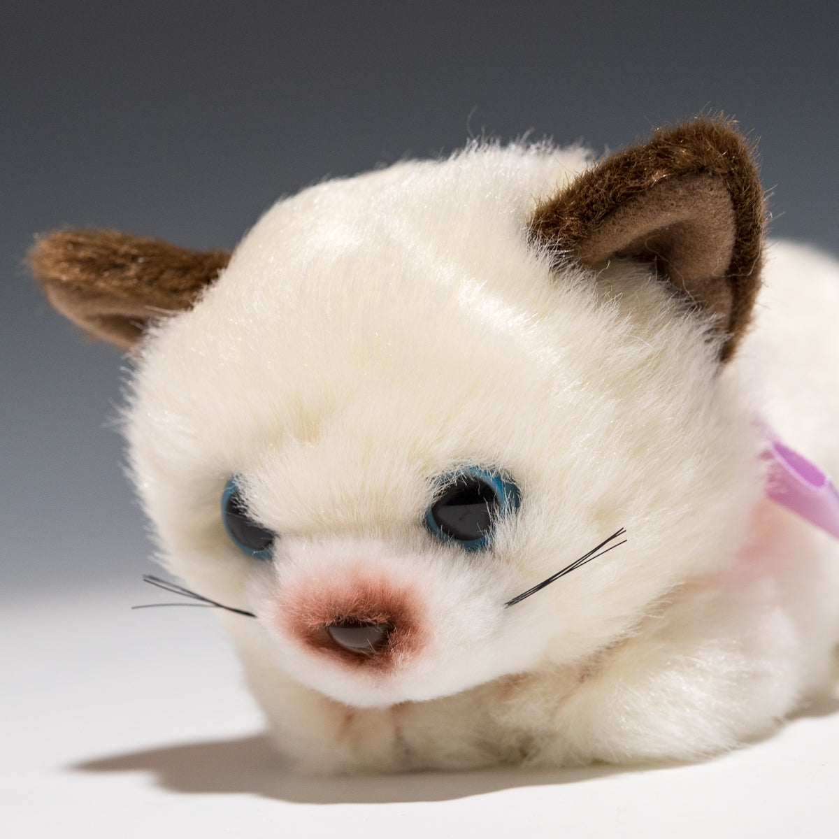 たけのこ TAKENOKO ぬいぐるみ リボンネコ シャムネコ 15783 左横顔