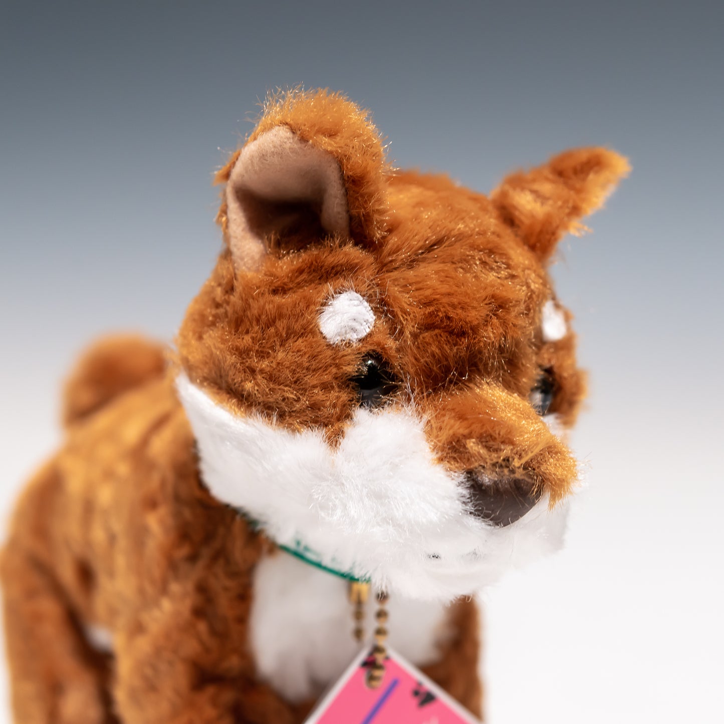 内藤デザイン研究所 ぬいぐるみ Dog Day 柴犬 Sサイズの右横顔