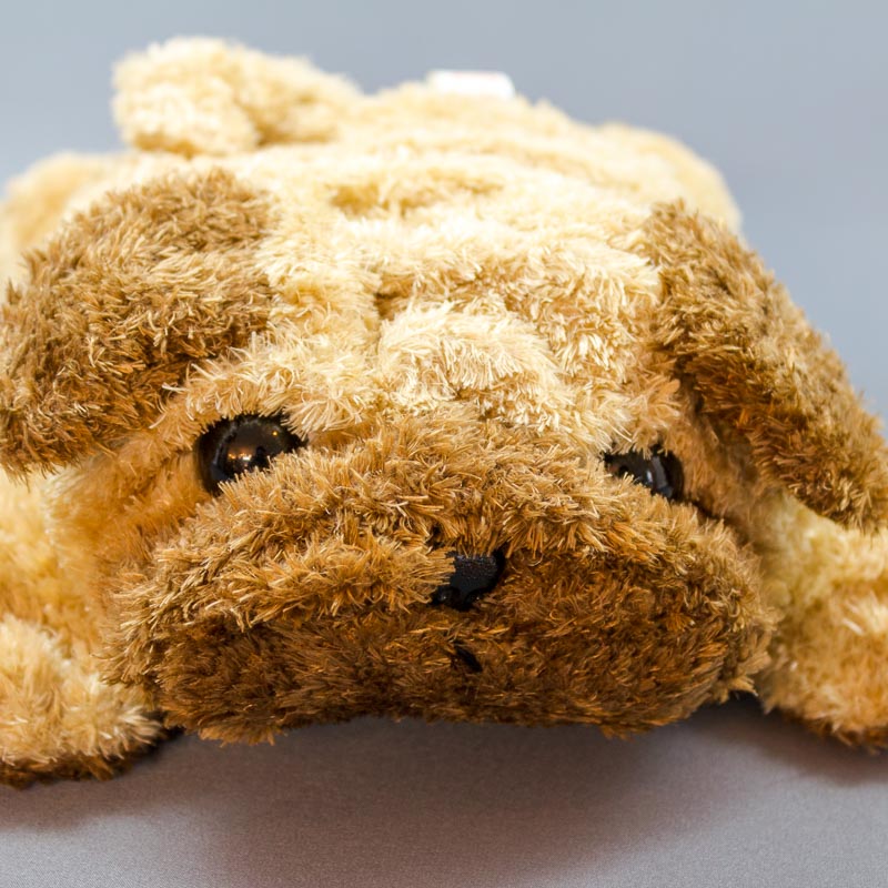 シナダ SHINADA ぬいぐるみ くるくるパグパグ S KRPG-0180 アップ