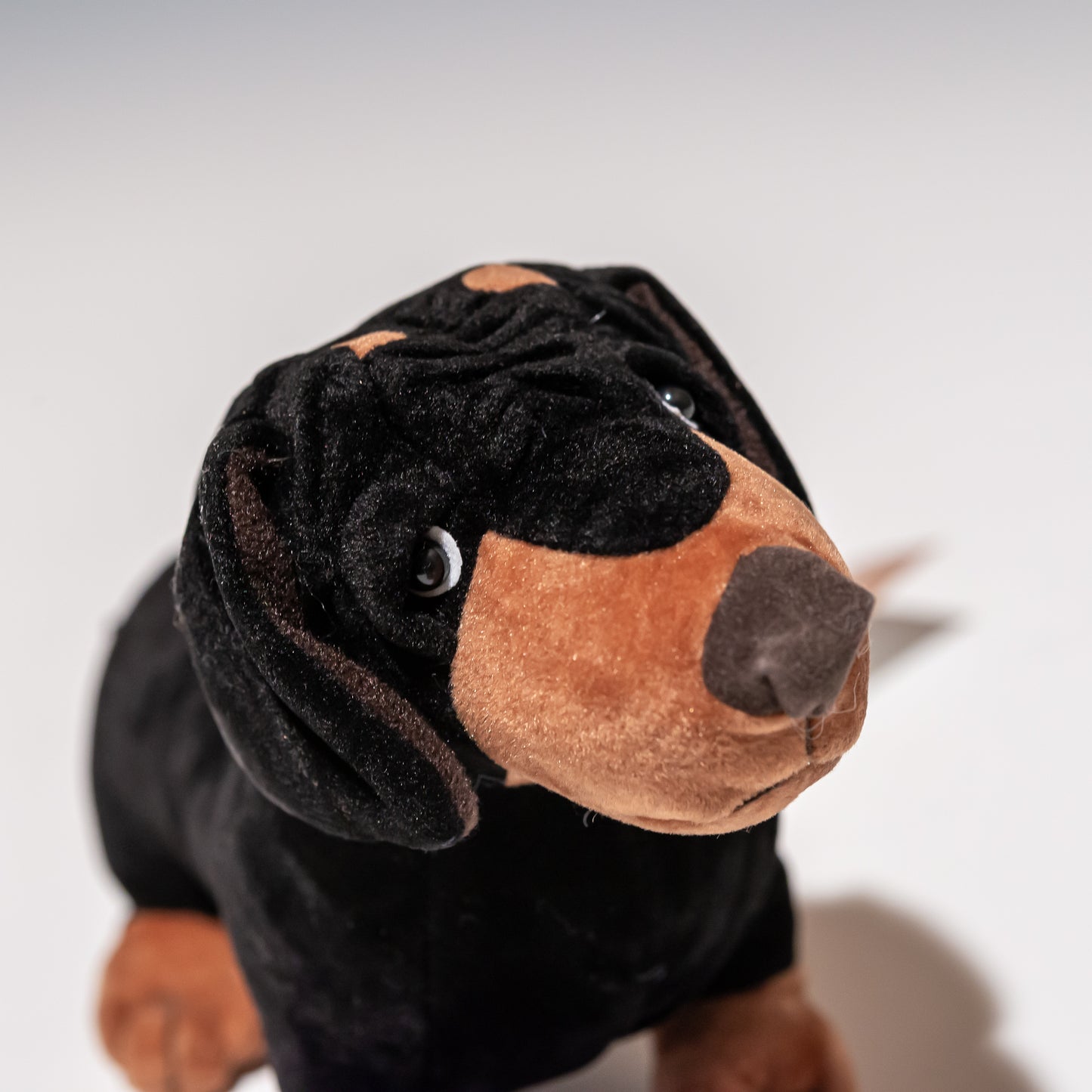 内藤デザイン研究所 ぬいぐるみ パートナードッグス (S) ダックスフントの右横顔