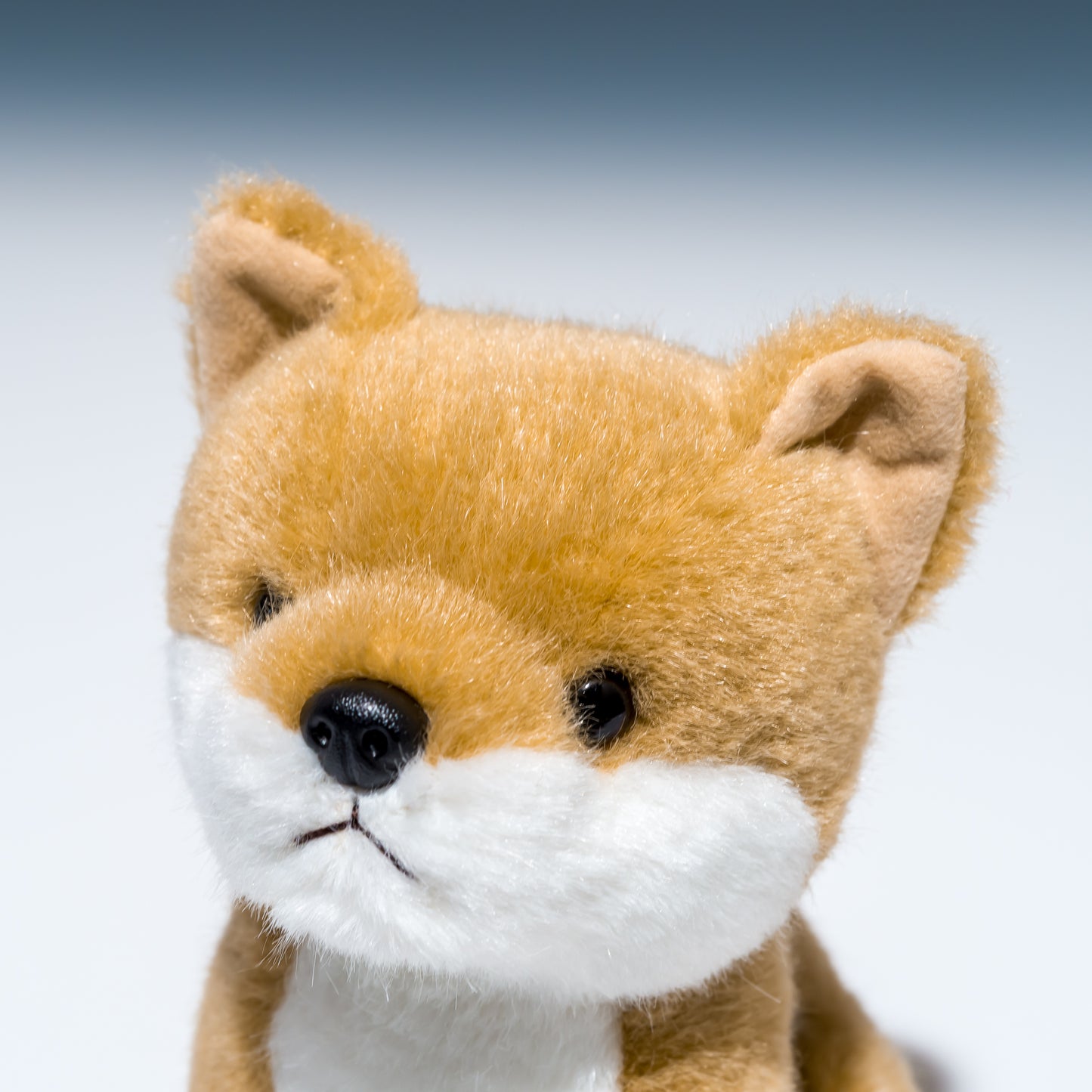 スターチャイルド STAR CHILD ぬいぐるみ 柴犬 座型 1166 左横顔