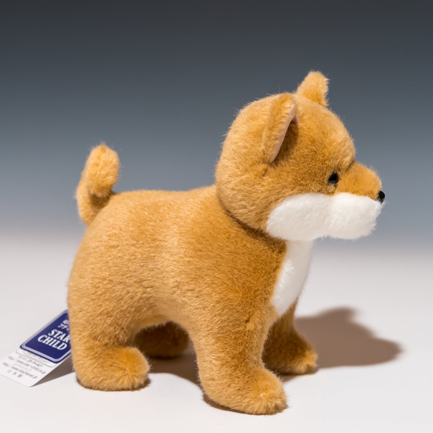 スターチャイルド STAR CHILD ぬいぐるみ 柴犬 立型 1540 右横
