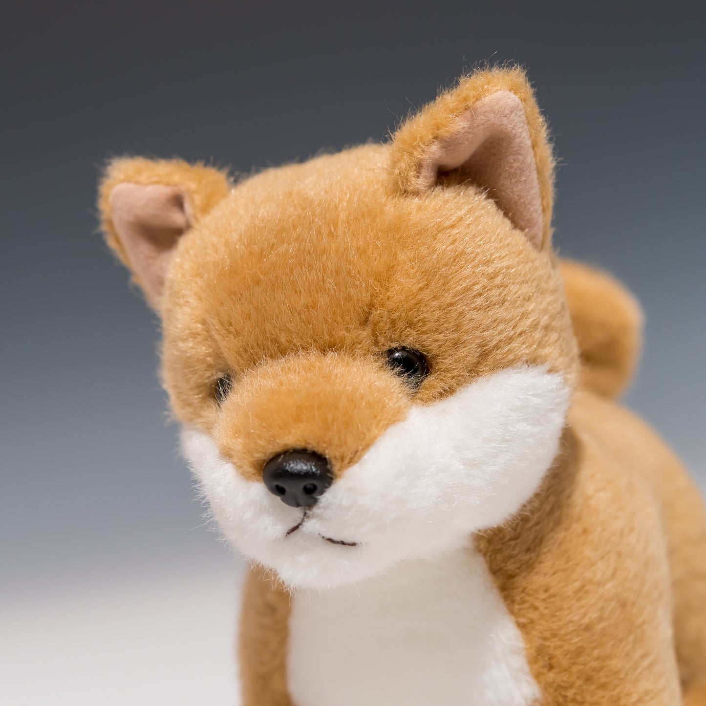スターチャイルド STAR CHILD ぬいぐるみ 柴犬 立型 1540 左横顔