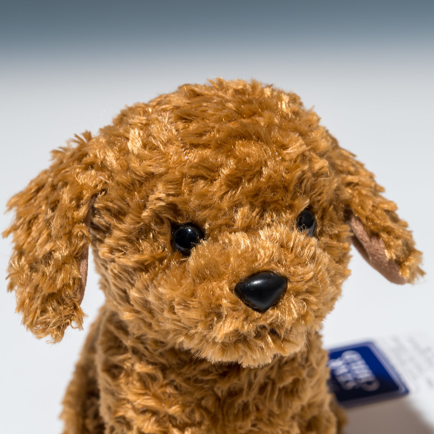 スターチャイルド STAR CHILD ぬいぐるみ トイプードル ブラウン 1665 右横顔