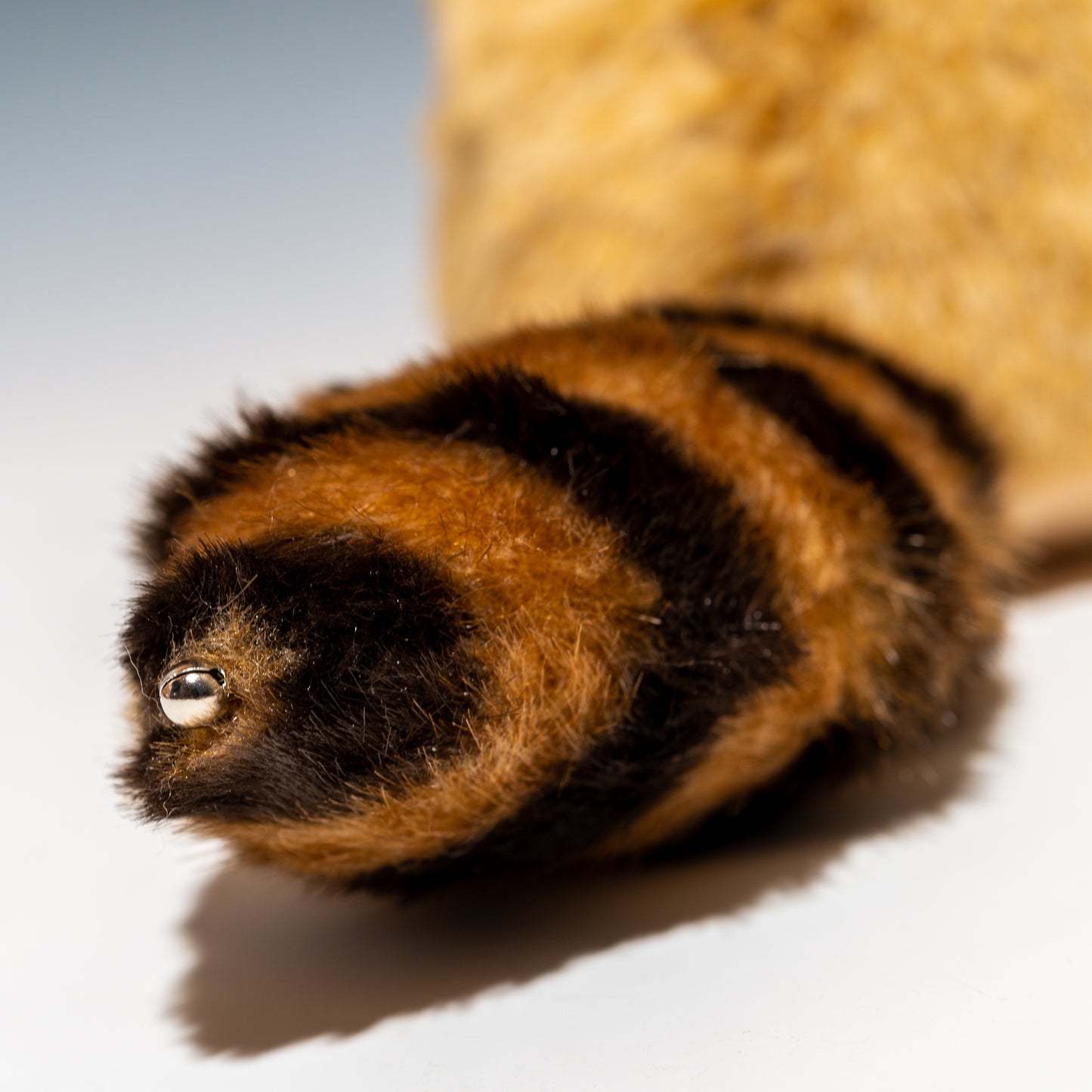 たけのこ TAKENOKO ぬいぐるみ レッサーパンダ SM 茶 28111 尻尾