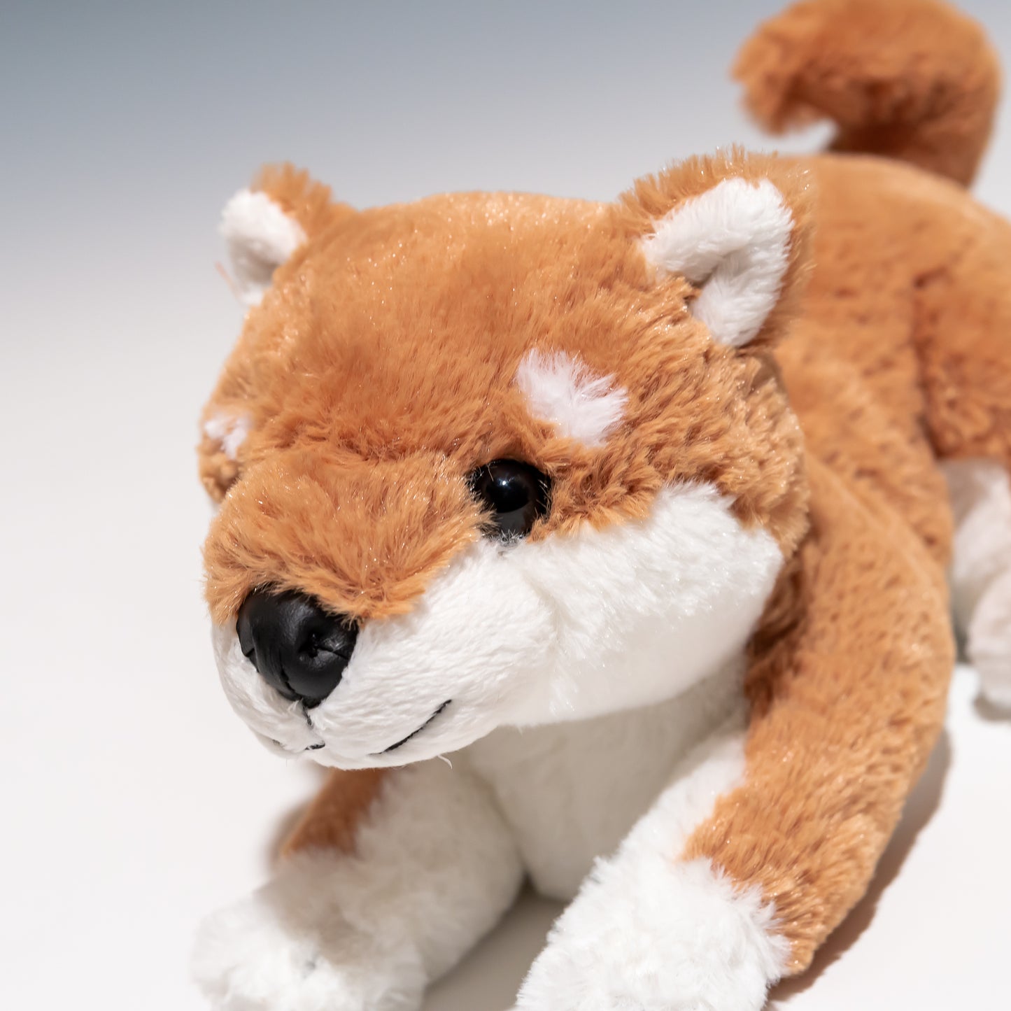 シナダ SHINADA ぬいぐるみ 豆子犬 赤柴 MMSR-0248 左横顔