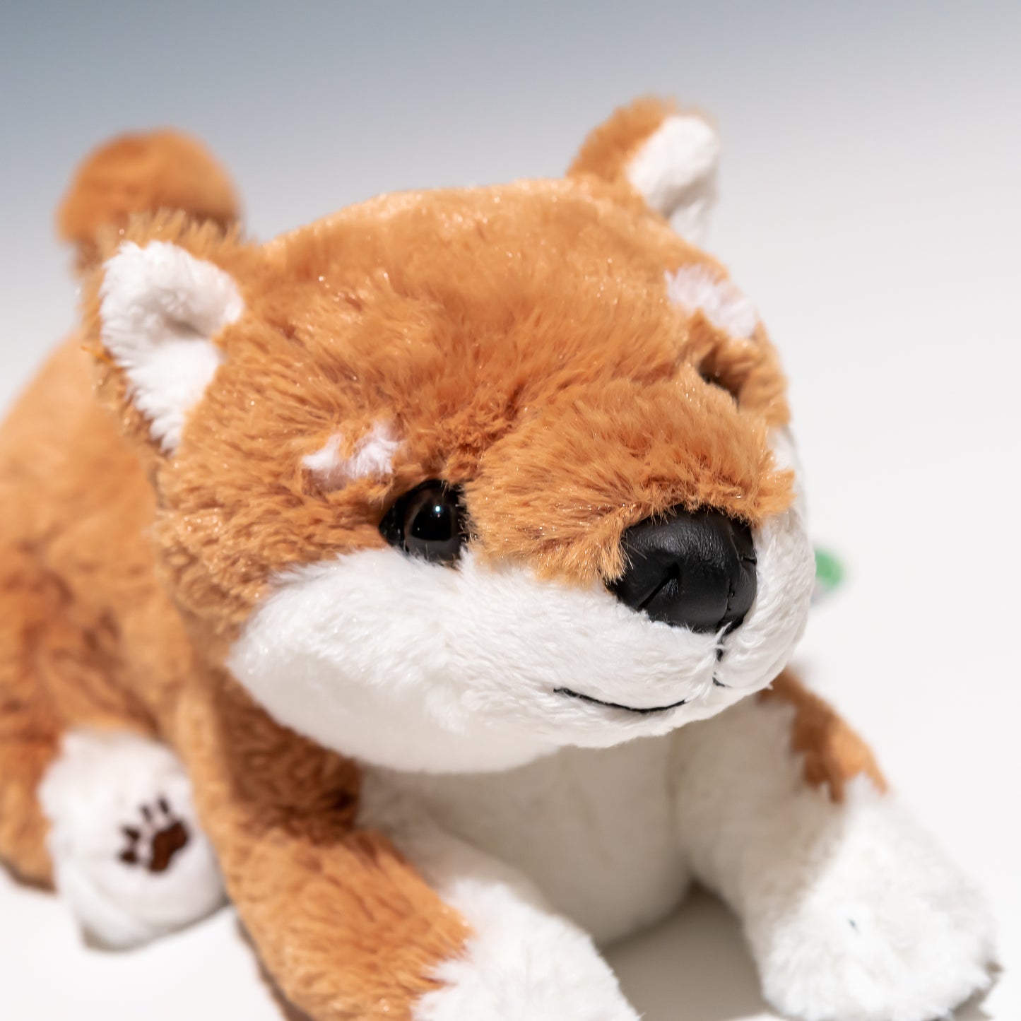 シナダ SHINADA ぬいぐるみ 豆子犬 赤柴 MMSR-0248 右横顔