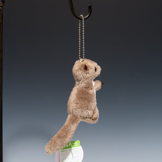 たけのこ TAKENOKO ぬいぐるみ マリンシリーズ カワウソ 立ち ボールチェーン 新色 (ベージュ) 58125 後ろ