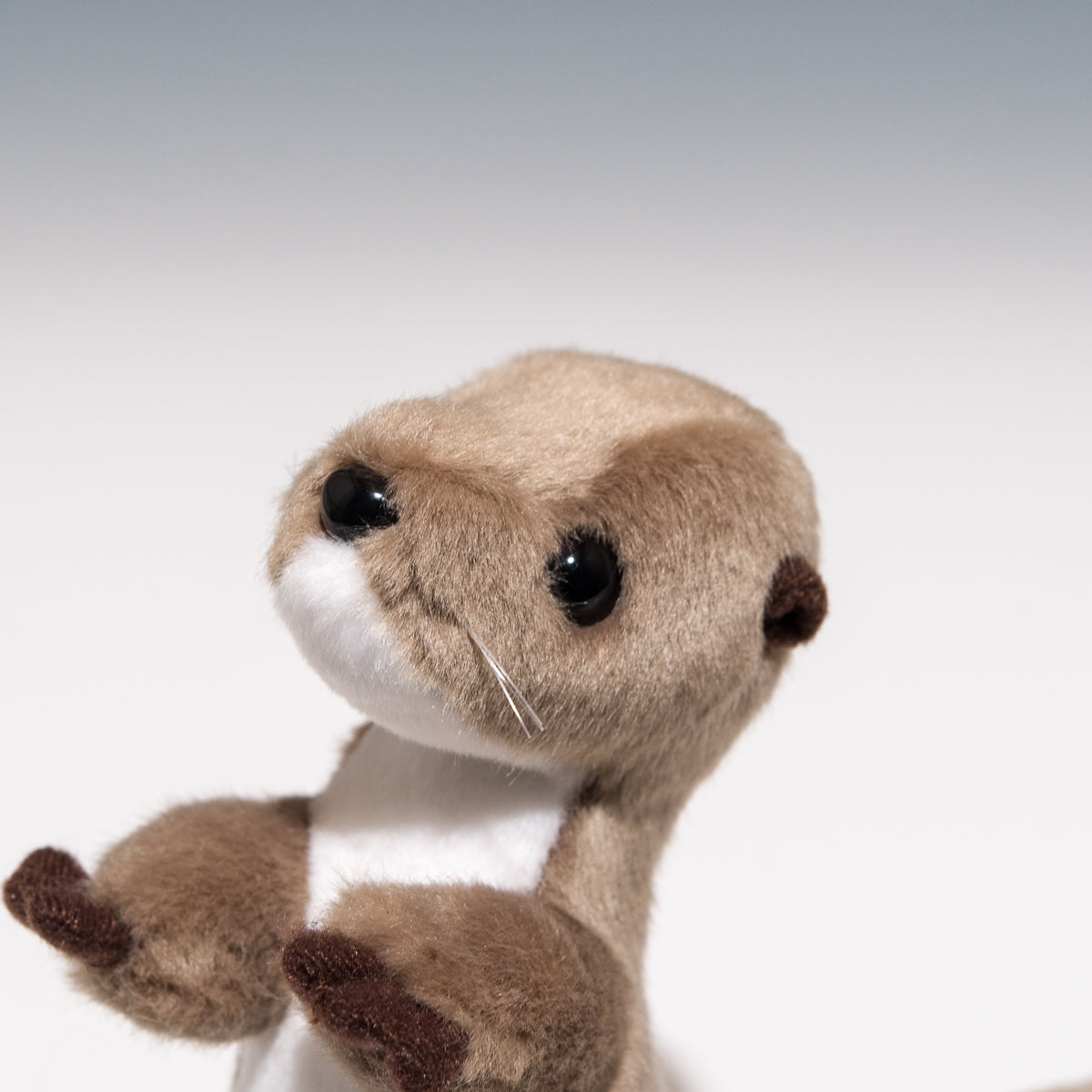 たけのこ TAKENOKO ぬいぐるみ マリンシリーズ カワウソ 立ち 新色 (ベージュ) 88124 左横顔