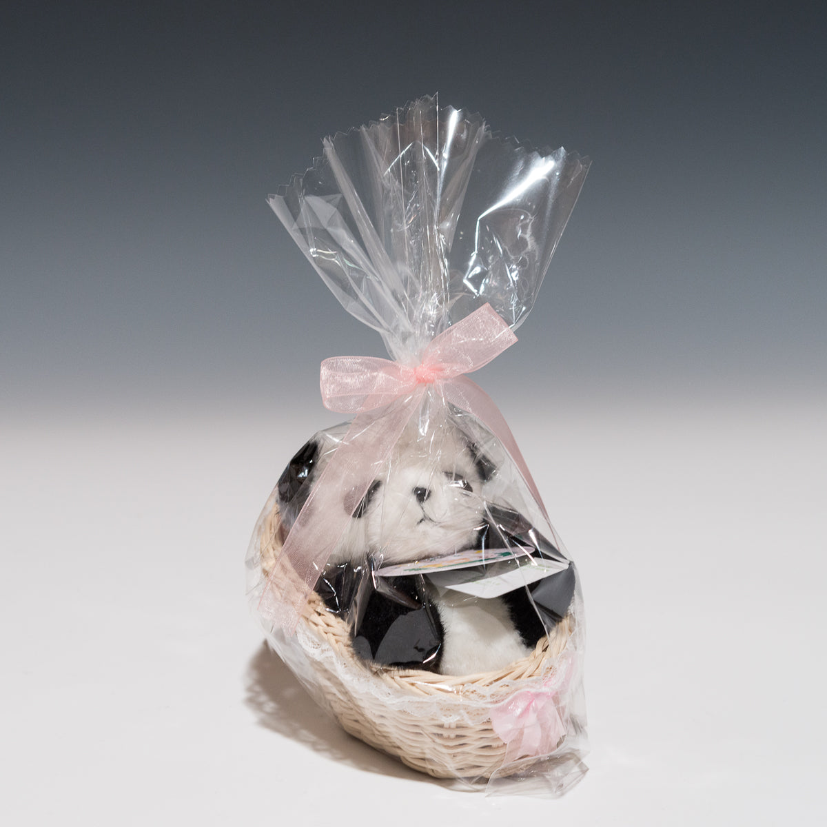 たけのこ TAKENOKO ぬいぐるみ パンダ赤ちゃん カゴ入りの正面