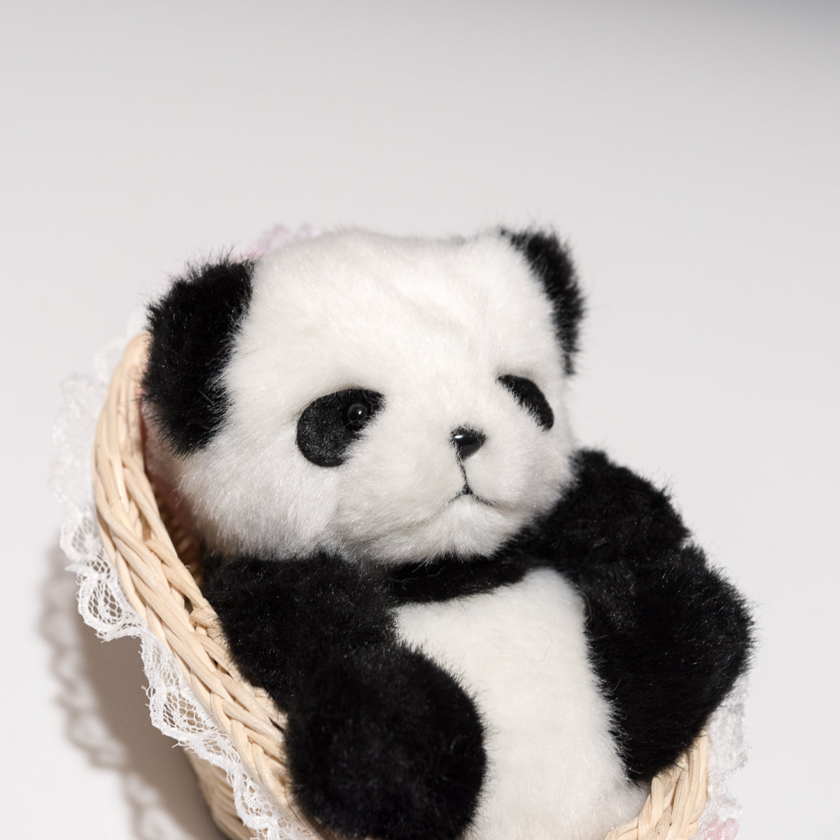 たけのこ TAKENOKO ぬいぐるみ パンダ赤ちゃん カゴ入りのアップ2