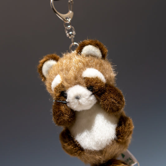 たけのこ TAKENOKO ぬいぐるみ プチプチどりーむ アライグマ 茶 68322 左横顔