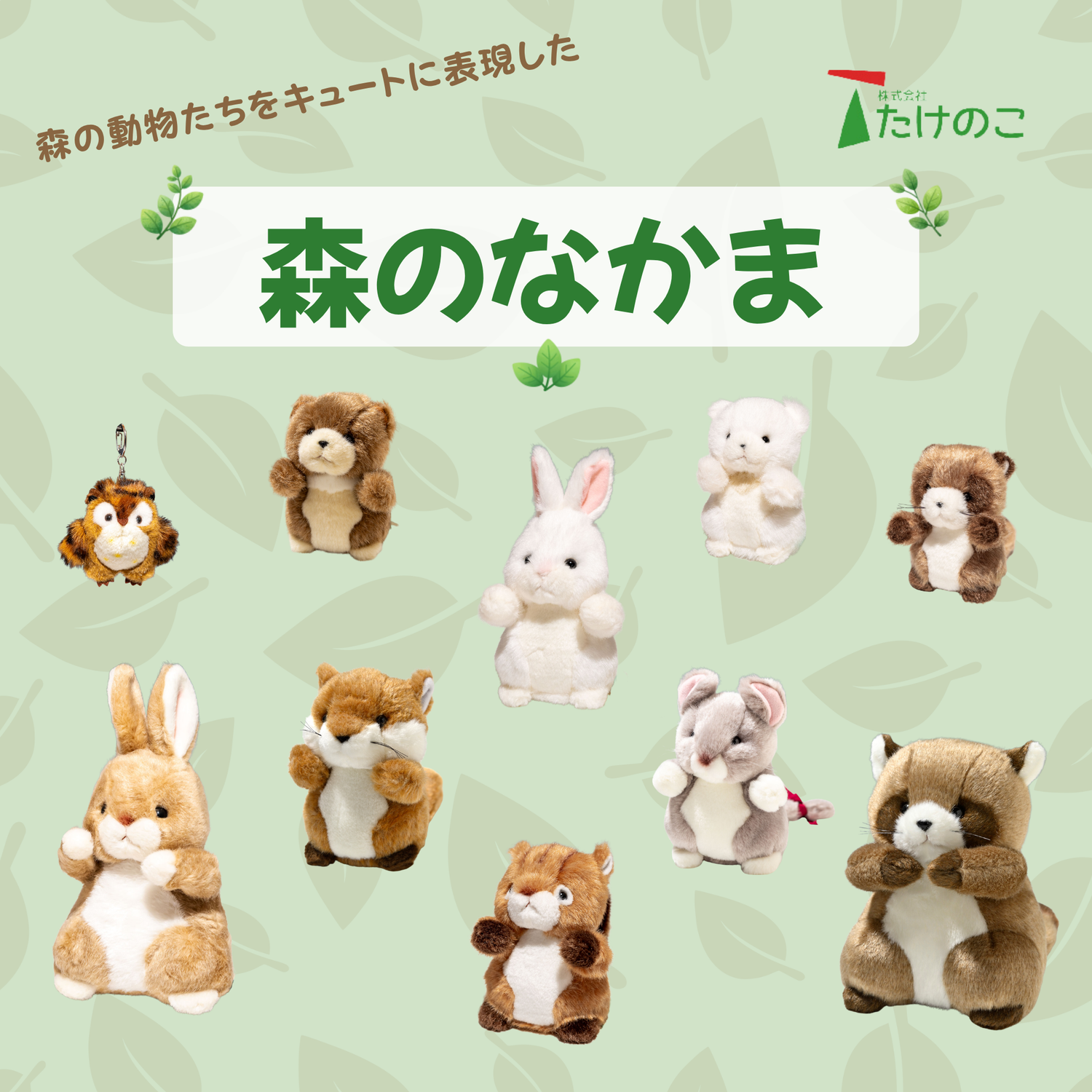 たけのこ TAKENOKO ぬいぐるみ 森のなかま 通販