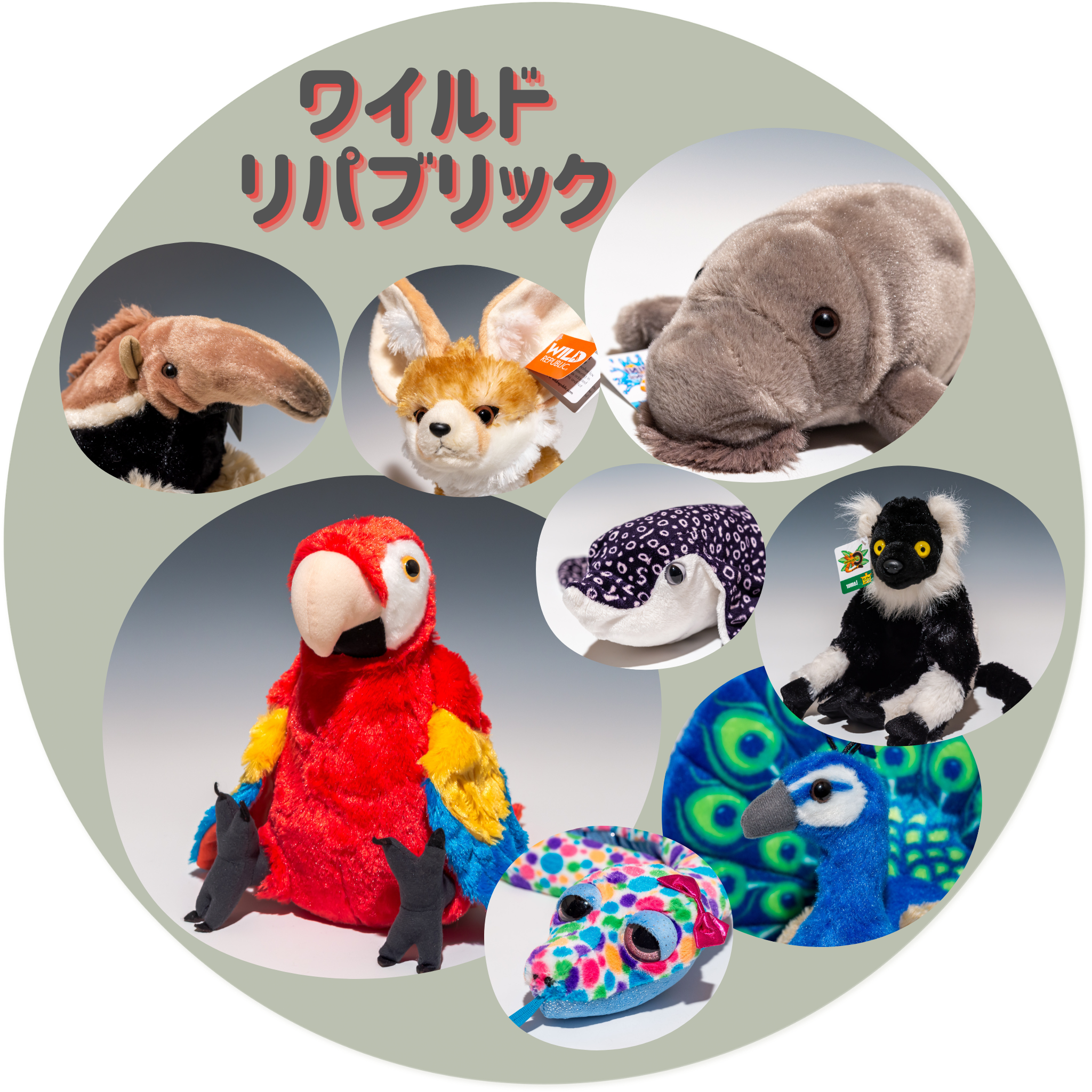 ワイルドリパブリック WILD REPUBLIC かわいいぬいぐるみの通販 ワイルドリパブリック WILD REPUBLIC かわいいぬいぐるみの通販