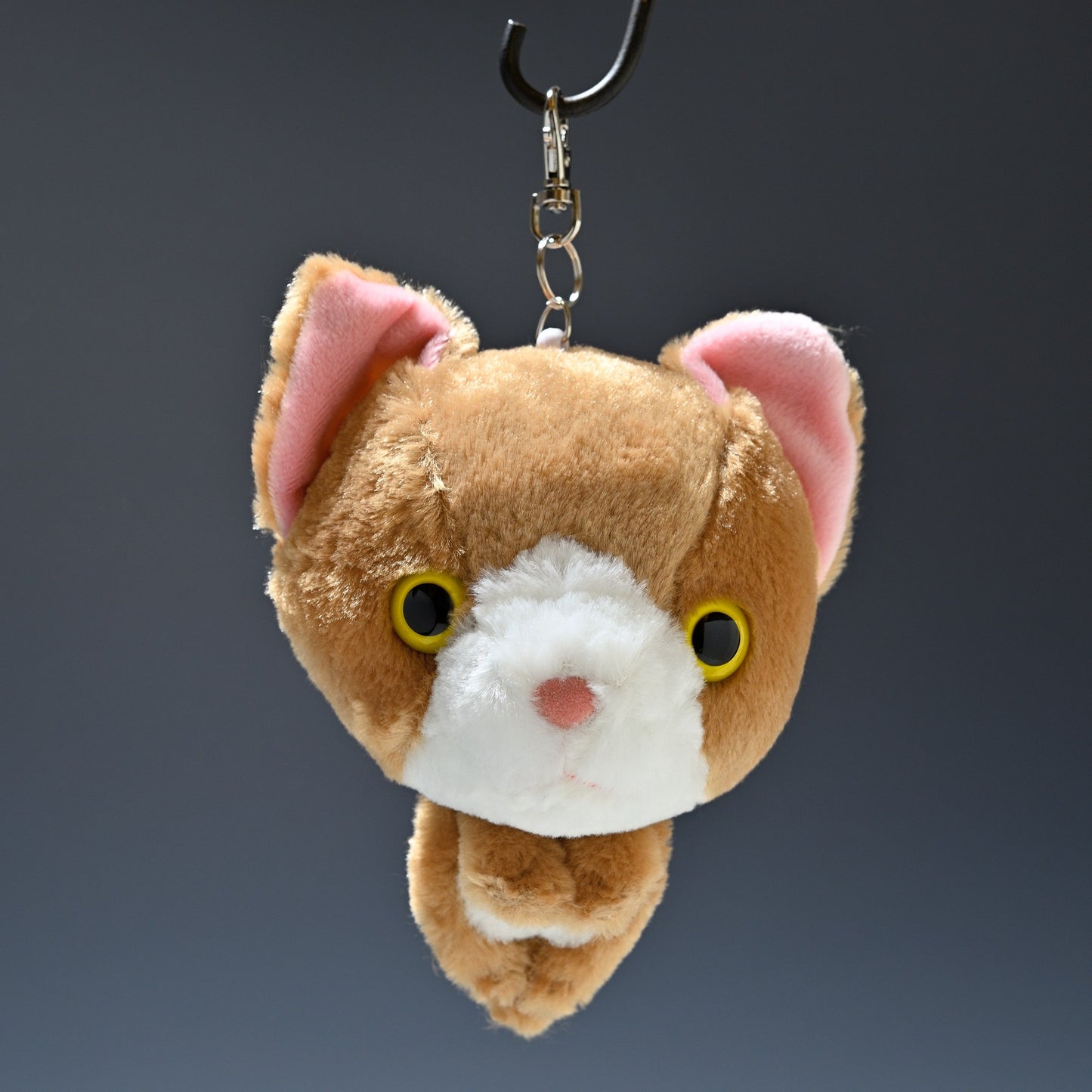 シナダ SHINADA ぬいぐるみ Big Face Cat ビックフェイスキャット リール付きパスケース チャシロ 正面