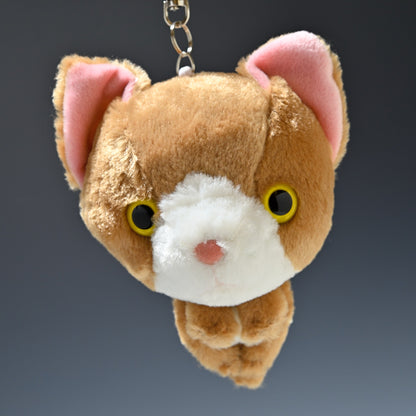 シナダ SHINADA ぬいぐるみ Big Face Cat ビックフェイスキャット リール付きパスケース チャシロ アップ