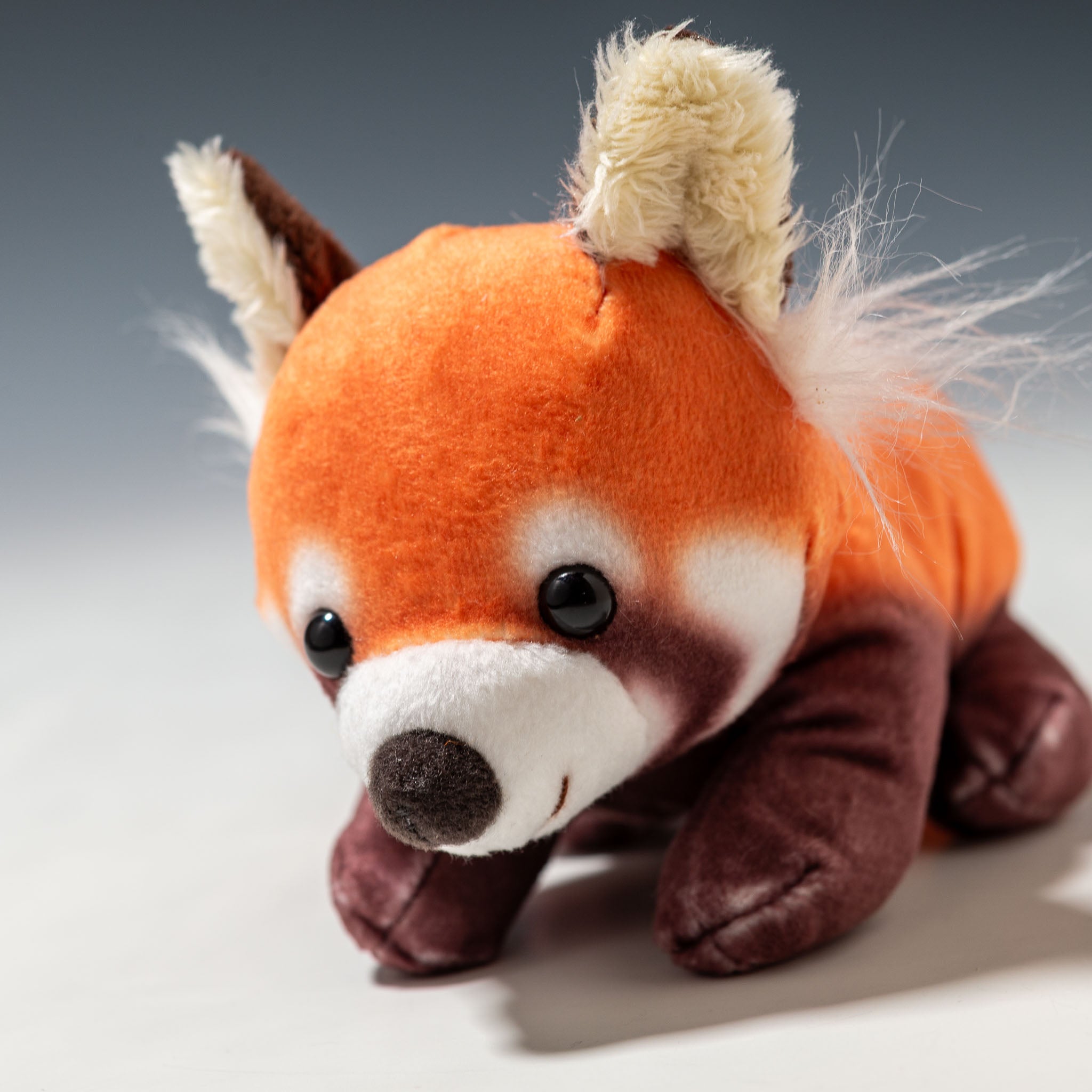 内藤デザイン研究所 ぬいぐるみ 大陸散歩 おともだちビーンズ