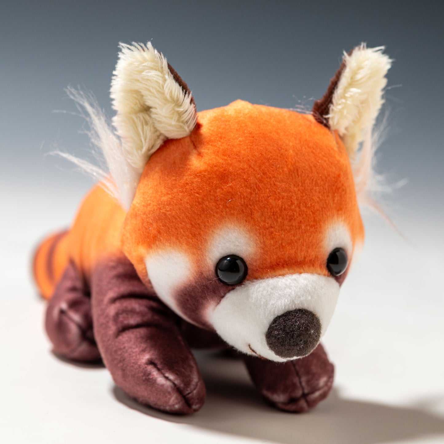 内藤デザイン研究所 ぬいぐるみ 大陸散歩 おともだちビーンズ レッサーパンダ 右横顔