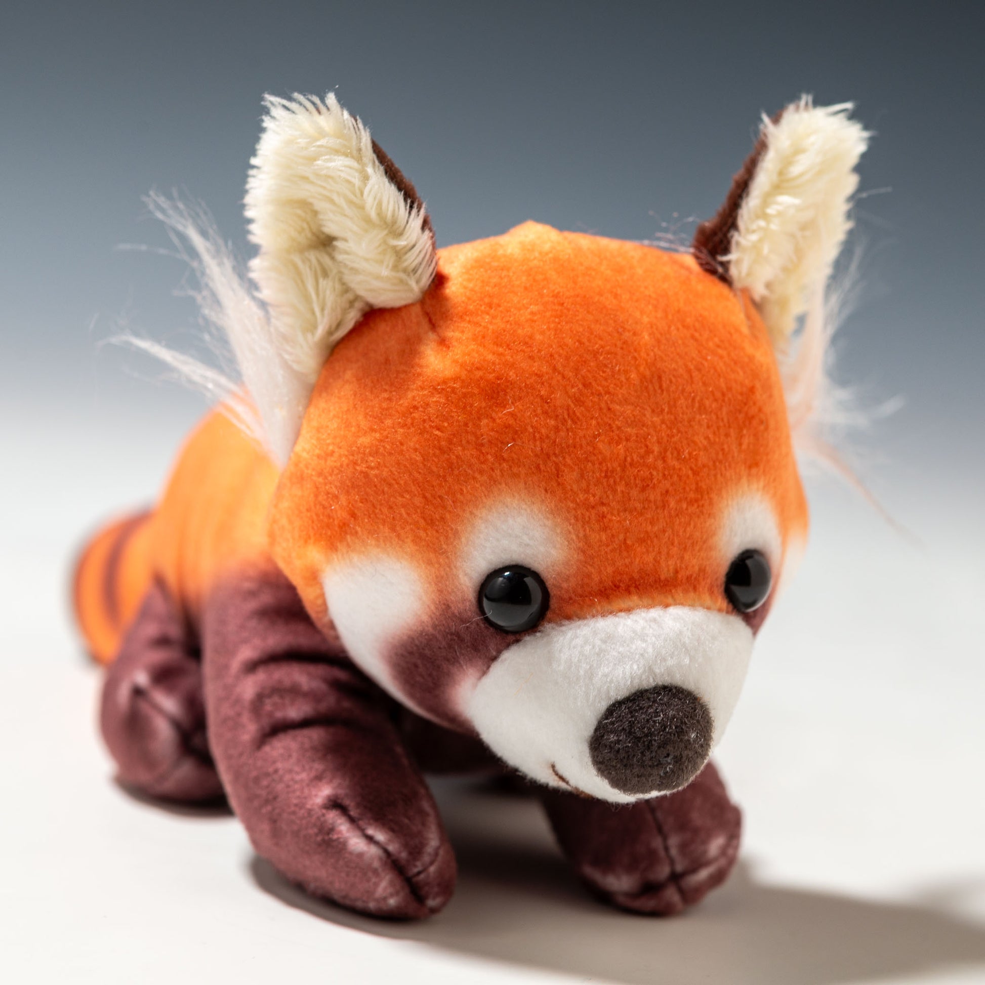 内藤デザイン研究所 ぬいぐるみ 大陸散歩 おともだちビーンズ レッサーパンダ 右横顔