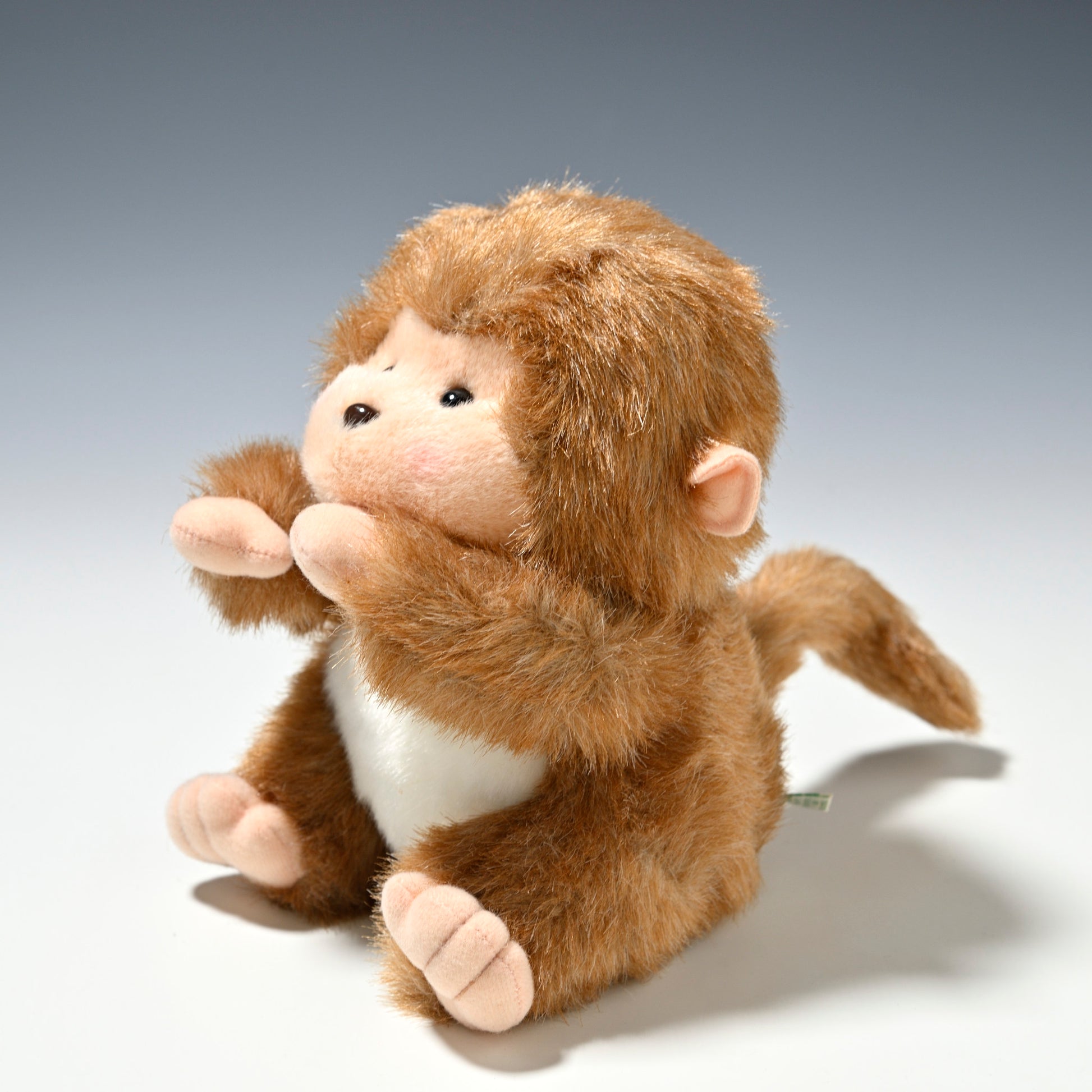 たけのこ TAKENOKO ぬいぐるみ チャブ丸 (S) 15101 右横