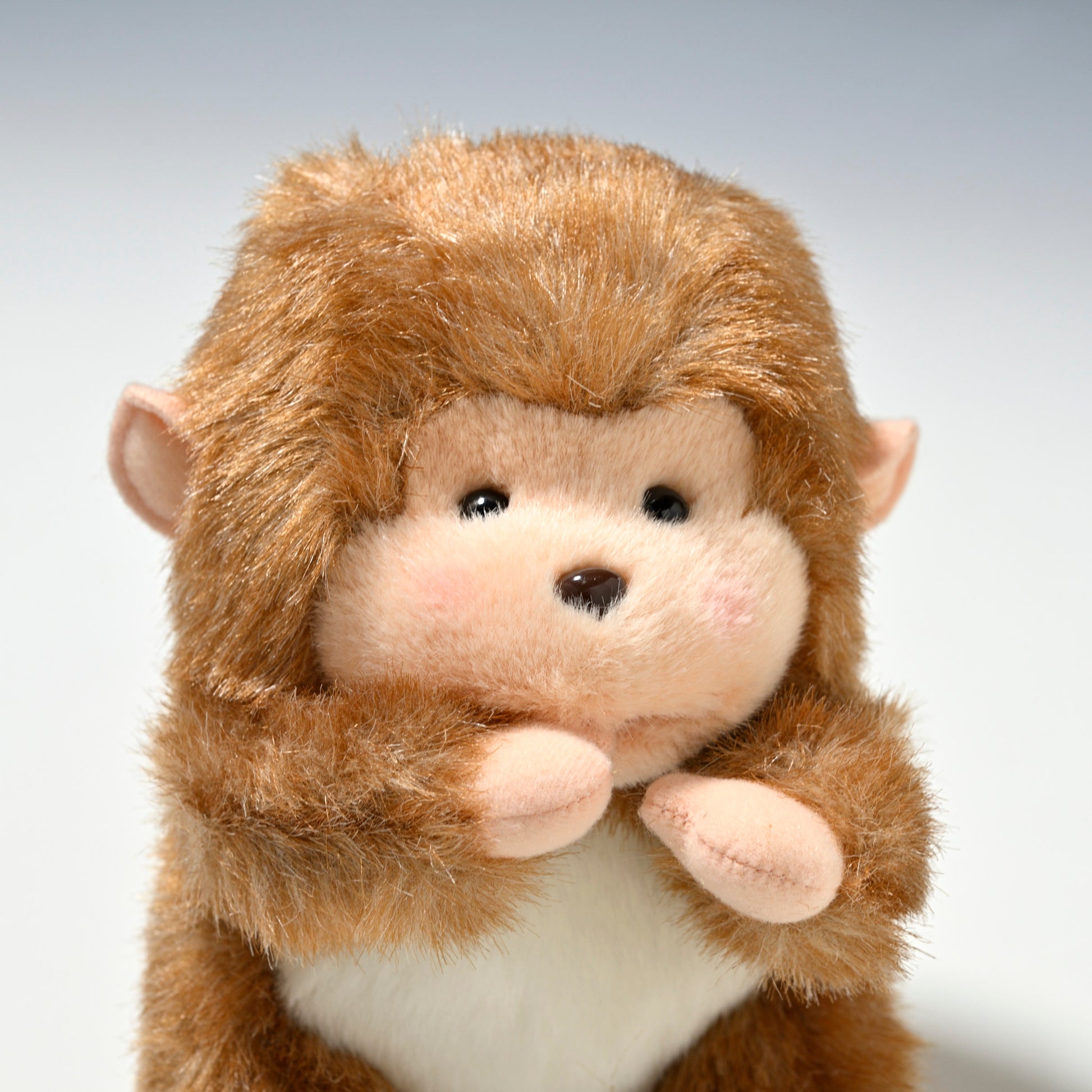 たけのこ TAKENOKO ぬいぐるみ チャブ丸 (S) 15101 右横顔