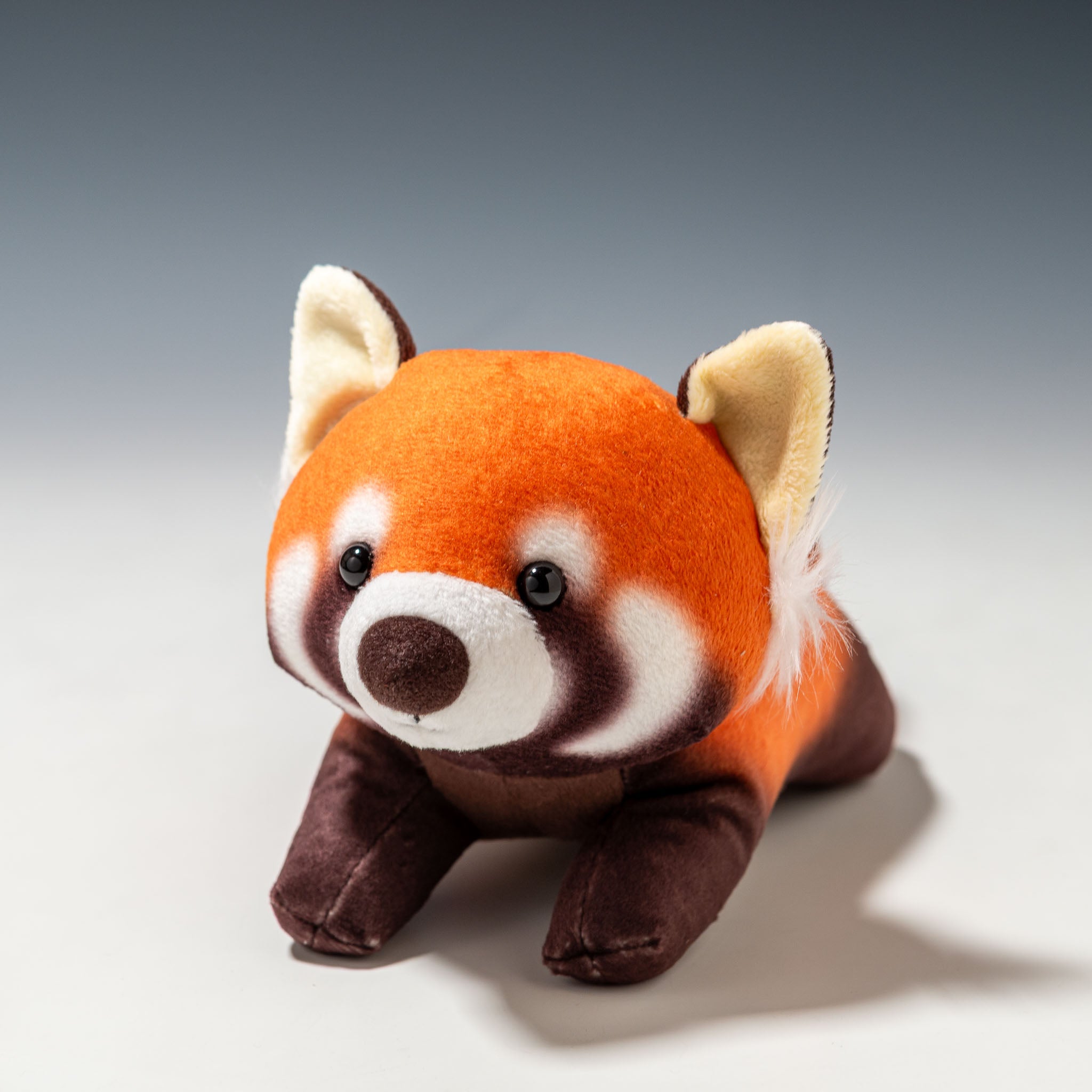 内藤デザイン研究所 ぬいぐるみ 大陸散歩 プートイ レッサーパンダ