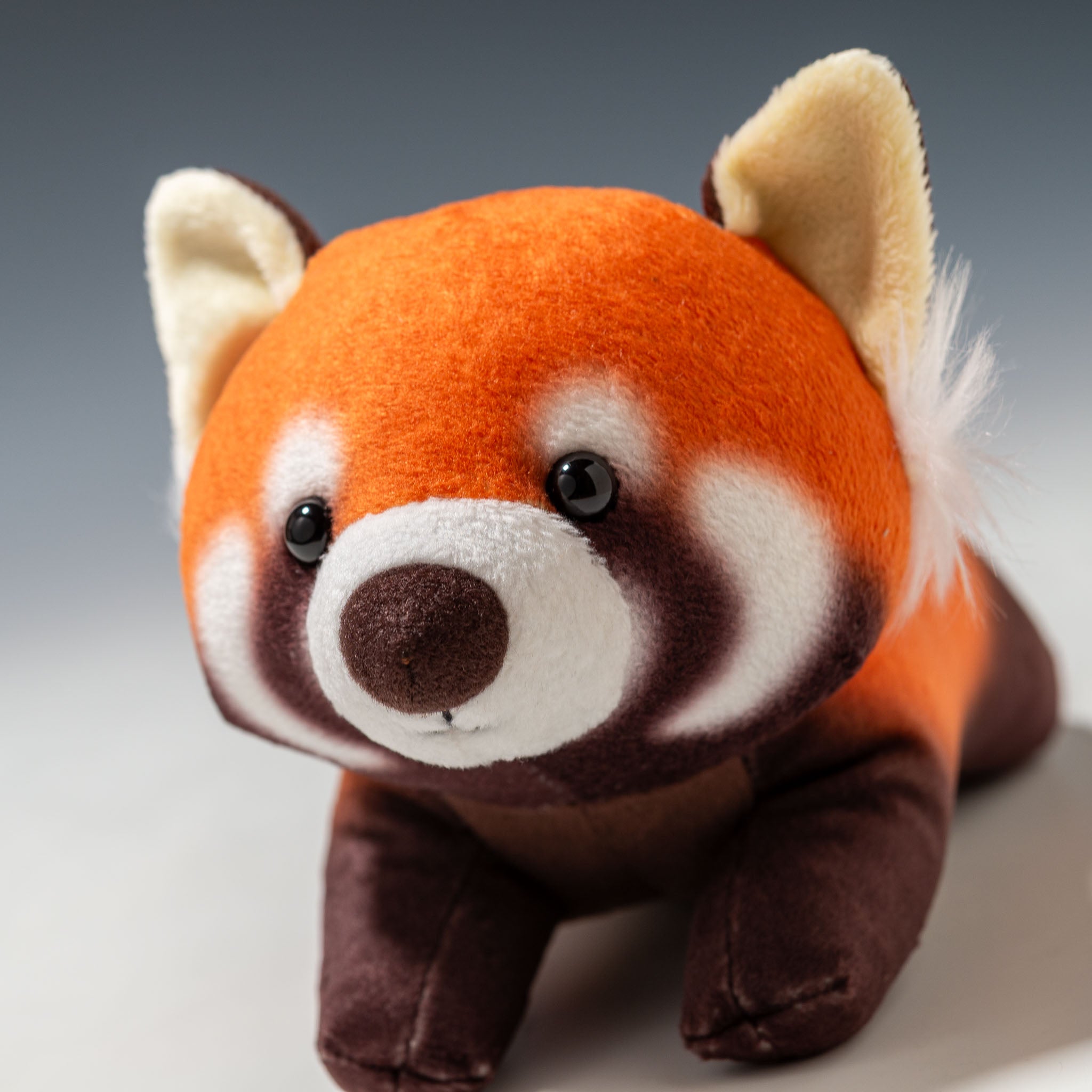 内藤デザイン研究所 ぬいぐるみ 大陸散歩 プートイ レッサーパンダ