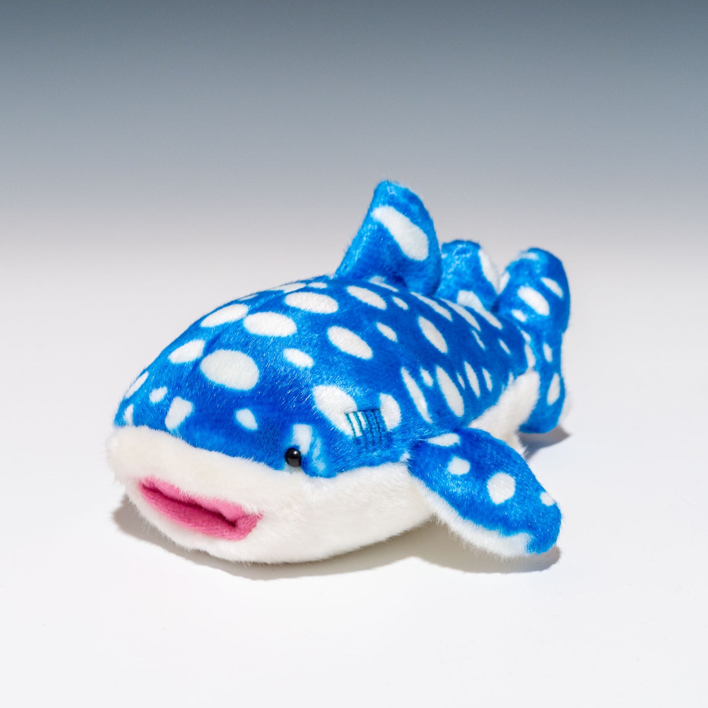 アクア AQUA ぬいぐるみ ジンベエザメ S 00100250 正面