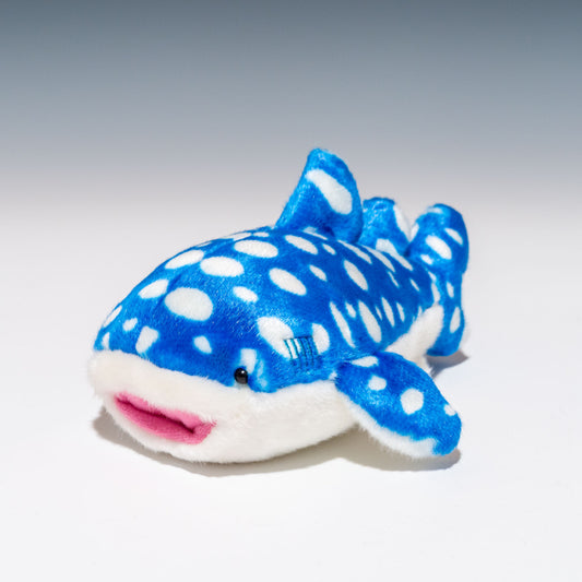 アクア AQUA ぬいぐるみ ジンベエザメ S 00100250 正面